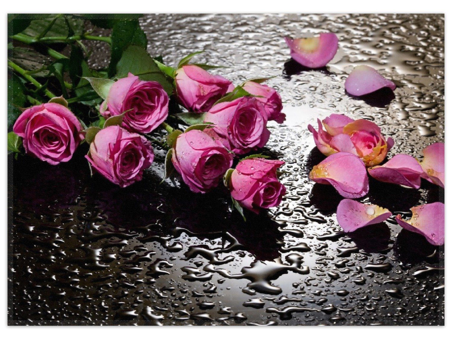 Wallario Teppich Pinke Rosen mit Wassertropfen, rechteckig, rutschfest