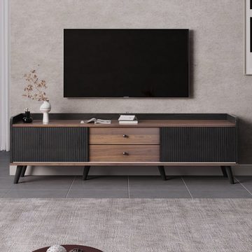WISHDOR TV-Schrank Mit zwei Schubladen, Fernsehtisch TV Board,TV- Lowboard (H58/L160/T40 cm) niedrige Platte mit zwei Schiebetüren