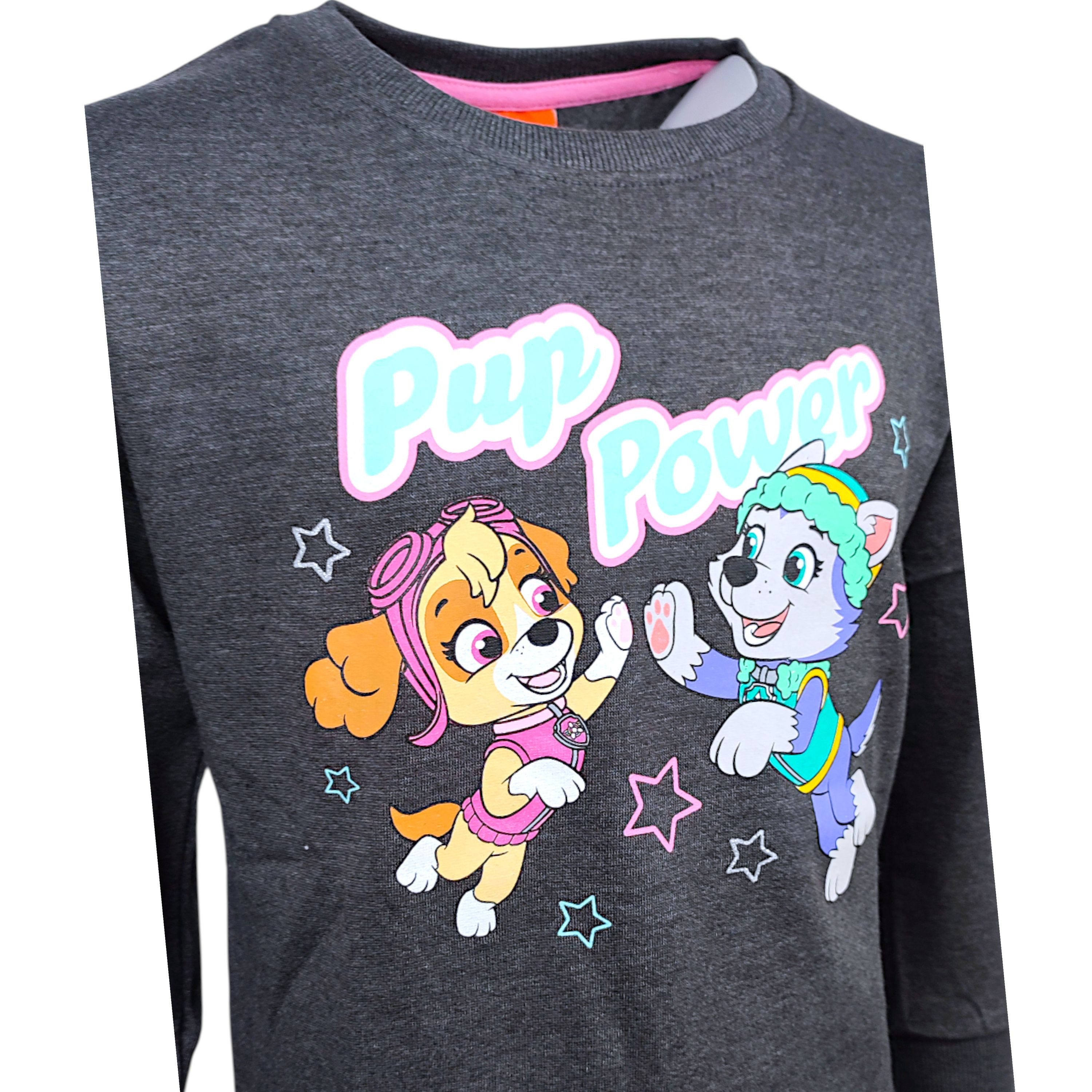 PAW PATROL Sweatshirt Skye & Everest Kinder Sweat-Pullover Größe 98 - 128 cm