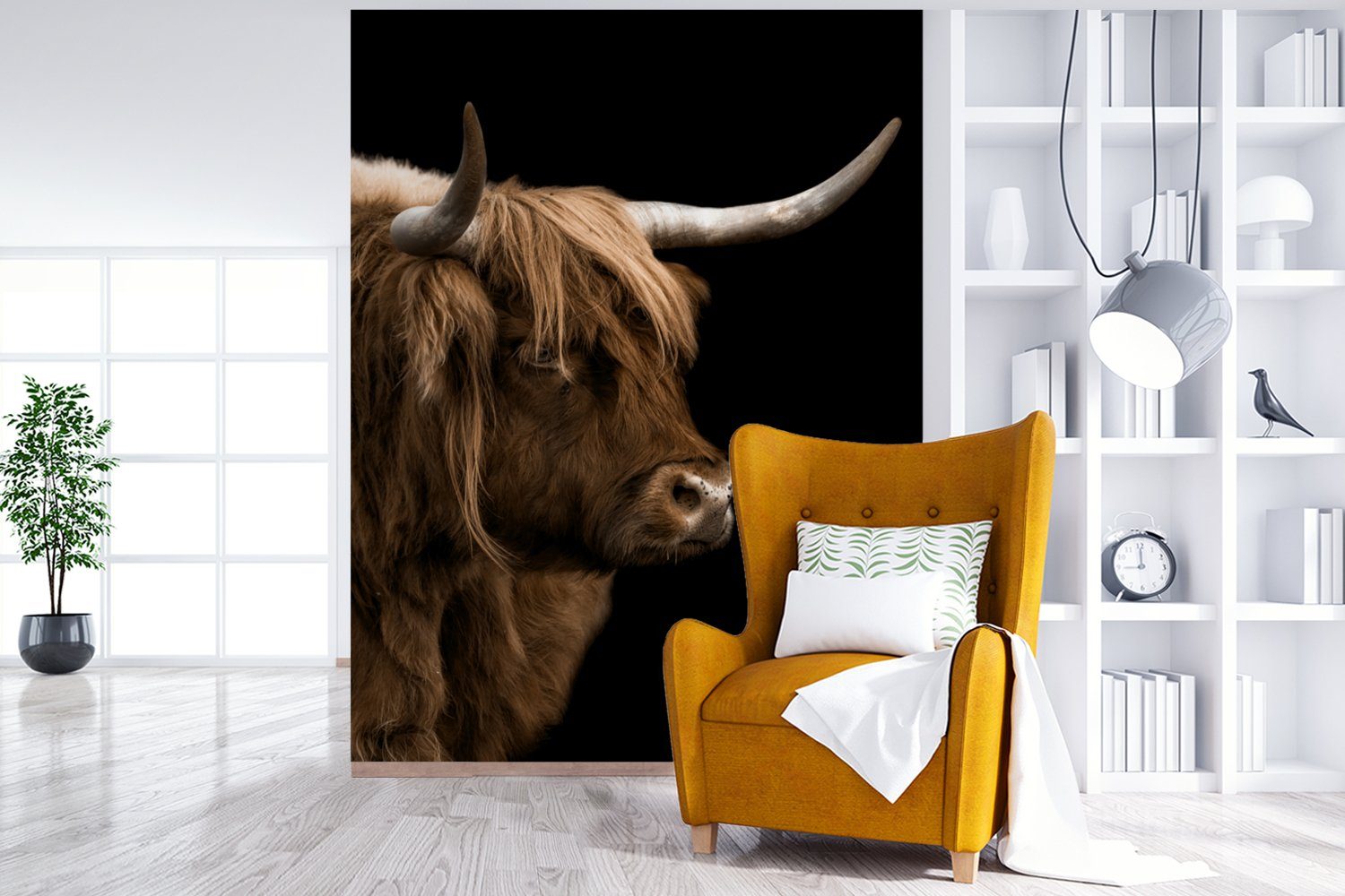 Kühe Wohnzimmer, (4 Wandtapete Tapete St), - Schottischer Matt, für Highlander - Montagefertig Schwarz, MuchoWow bedruckt, Fototapete Vinyl