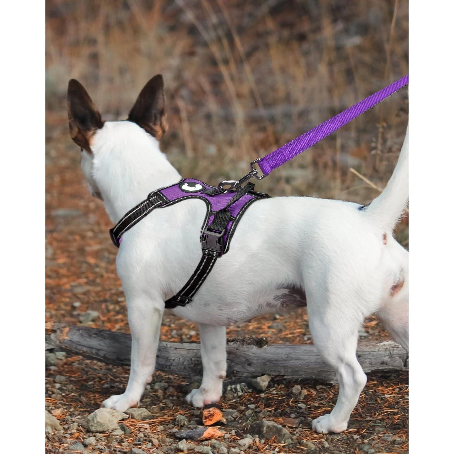 LuxusKollektion Hundeleine Hundeleine kleine Hunde reflektierend 180x2.0 cm (1er Pack) Lila