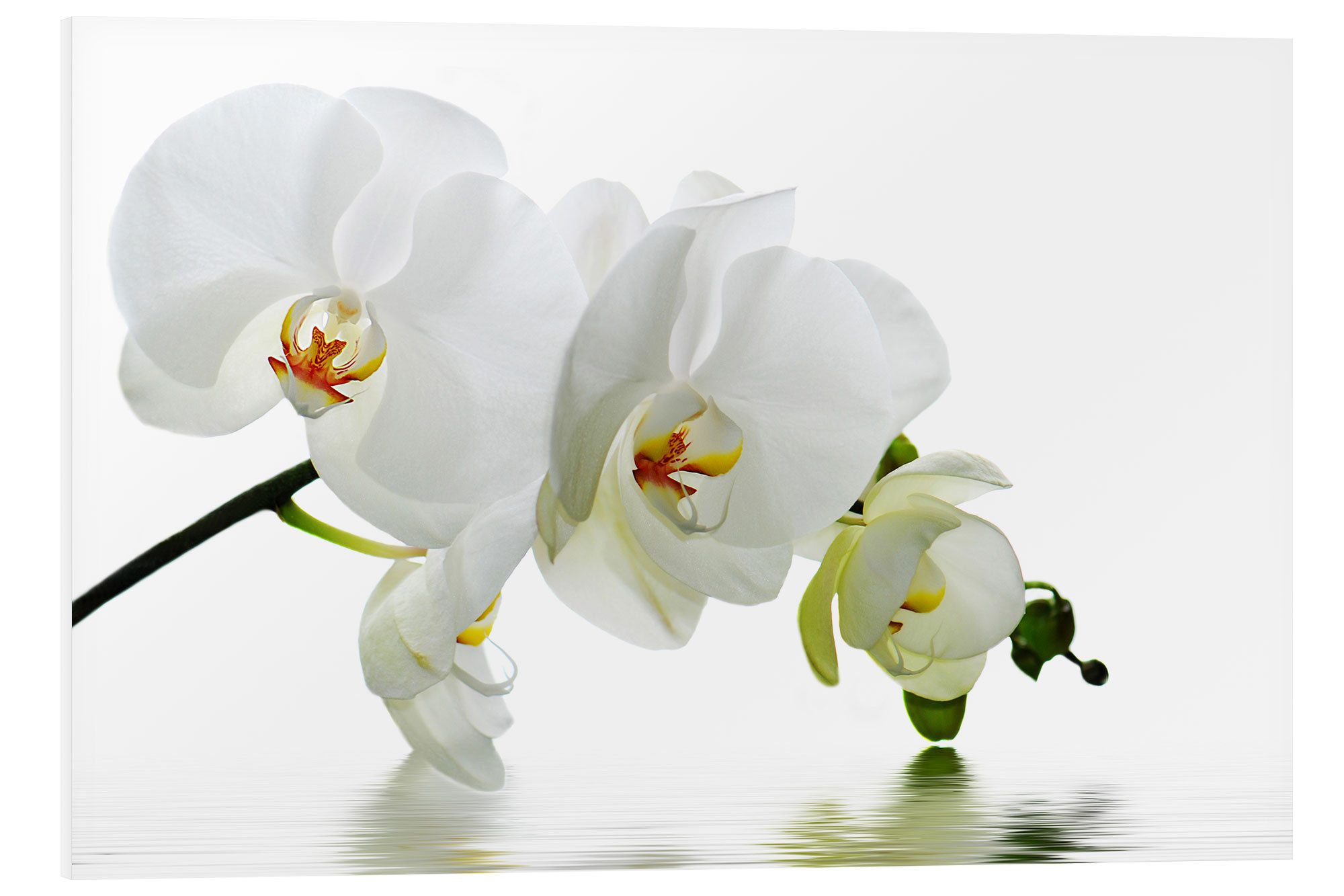 Forex-Bild Atteloi