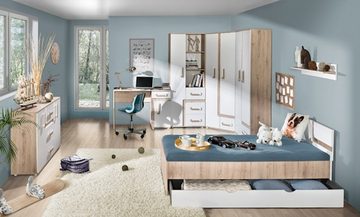 Feldmann-Wohnen Schreibtisch Apetito (mit Container, 1 Schubkasten, 1 Tür dahinter 1 Einlegeboden, 1-St), 120cm Korpusfarbe und Griffe wählbar Front weiß 1-türig, 1 Schublade