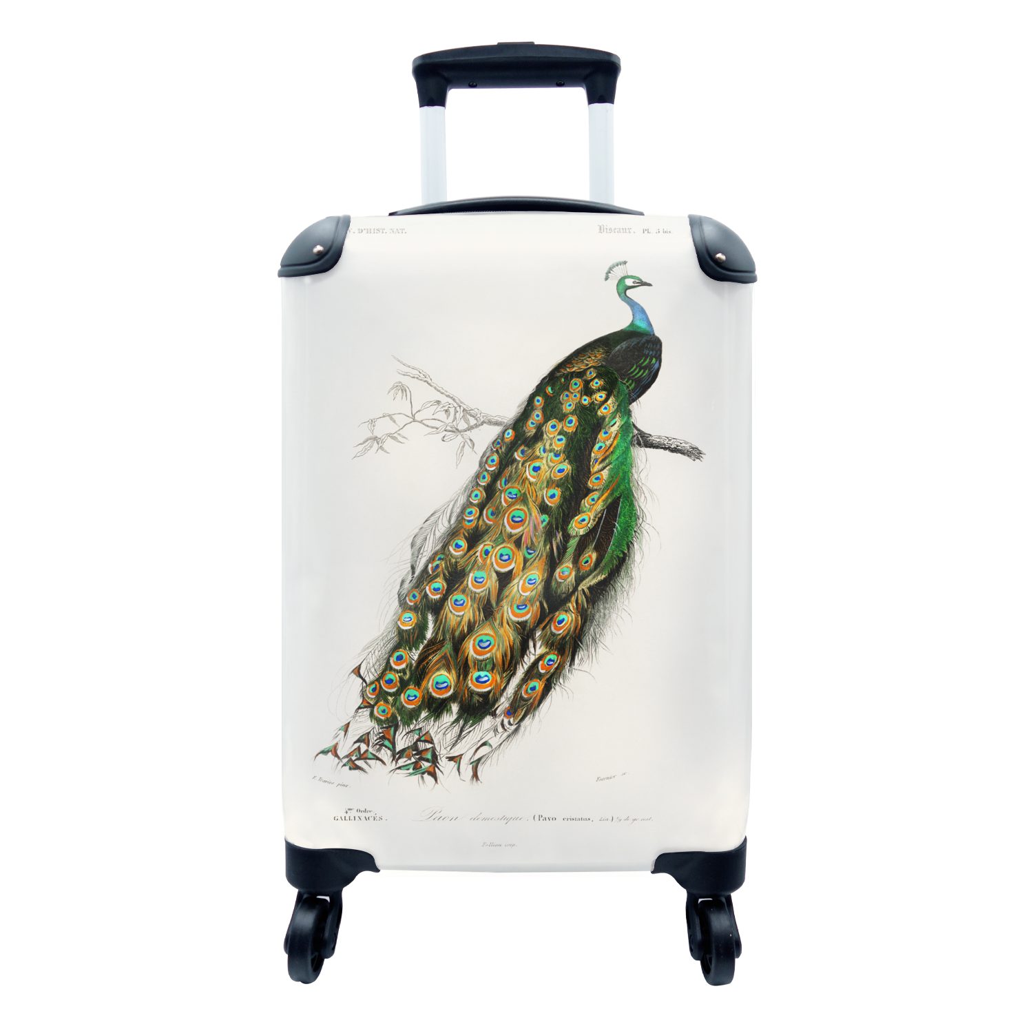 - - Handgepäckkoffer Reisetasche Pfau Ferien, für mit Vogel MuchoWow rollen, Vintage, Trolley, Rollen, Handgepäck Reisekoffer 4