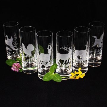 Bohemia Crystal Schnapsglas Barline, Kristallglas, veredelt mit Gravur, 6 x Jadmotiv, Inhalt 50 ml, Schnapsglas-Set