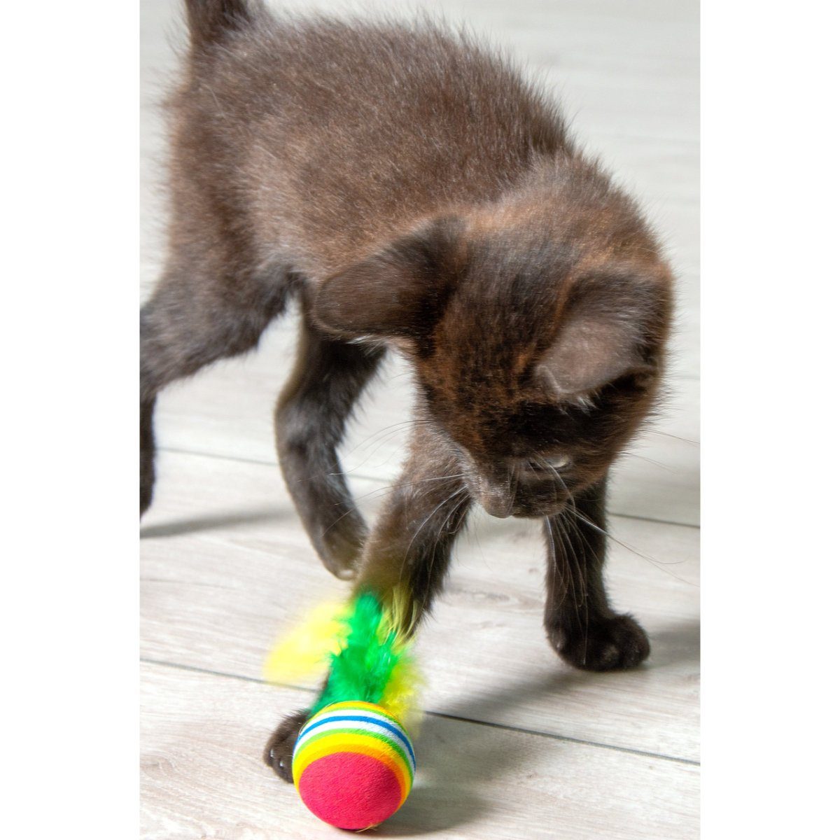 Set Tierball Feder Regenbogenbälle mit Karlie 4er