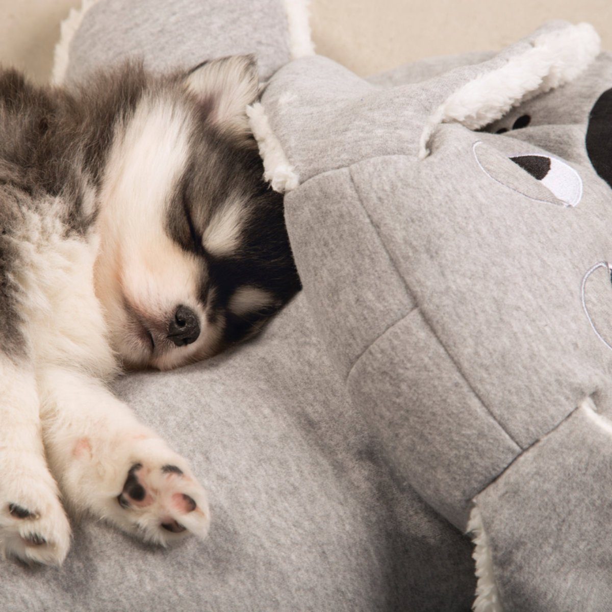 Beeztees Tierkuscheltier Puppy XL-Kuschelspielzeug Boomba grau günstig online kaufen