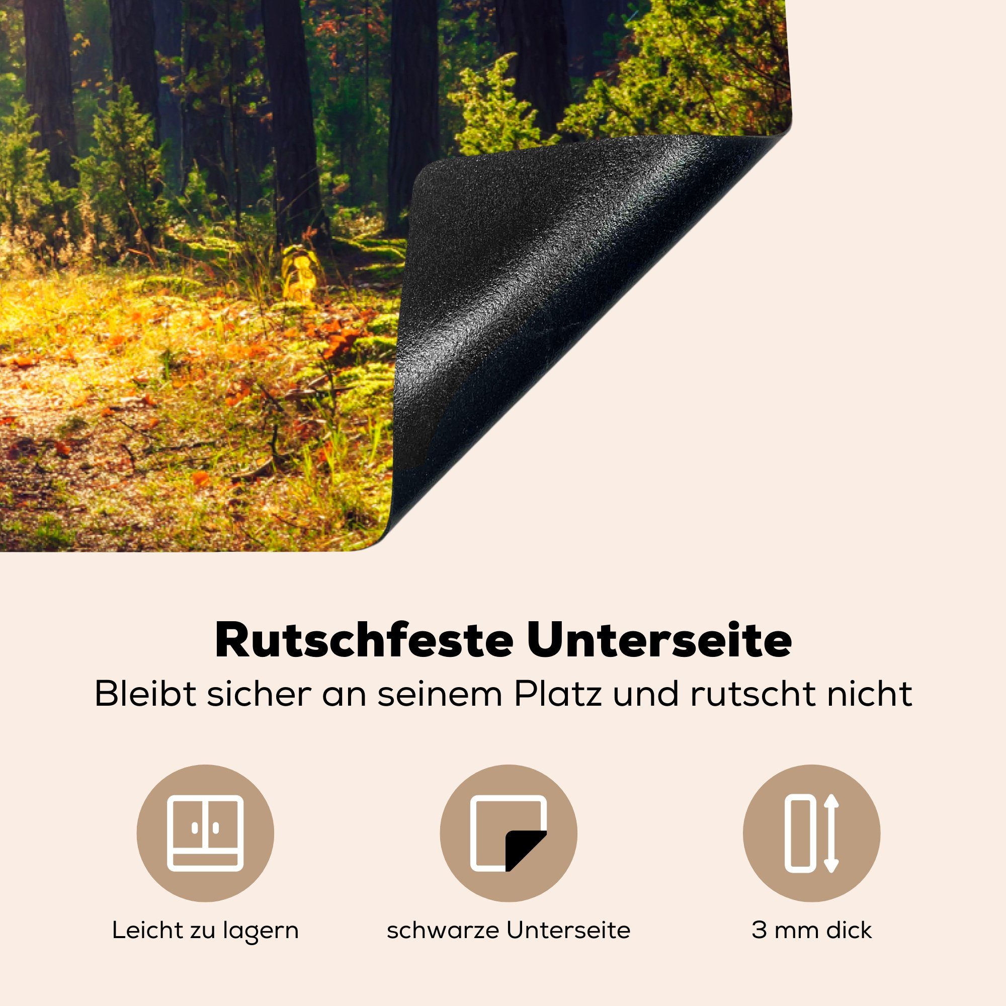 Wald 81x52 Bäume, (1 MuchoWow Schutz Herbst für Herdblende-/Abdeckplatte küche, die Ceranfeldabdeckung Induktionskochfeld - tlg), - Vinyl, cm,