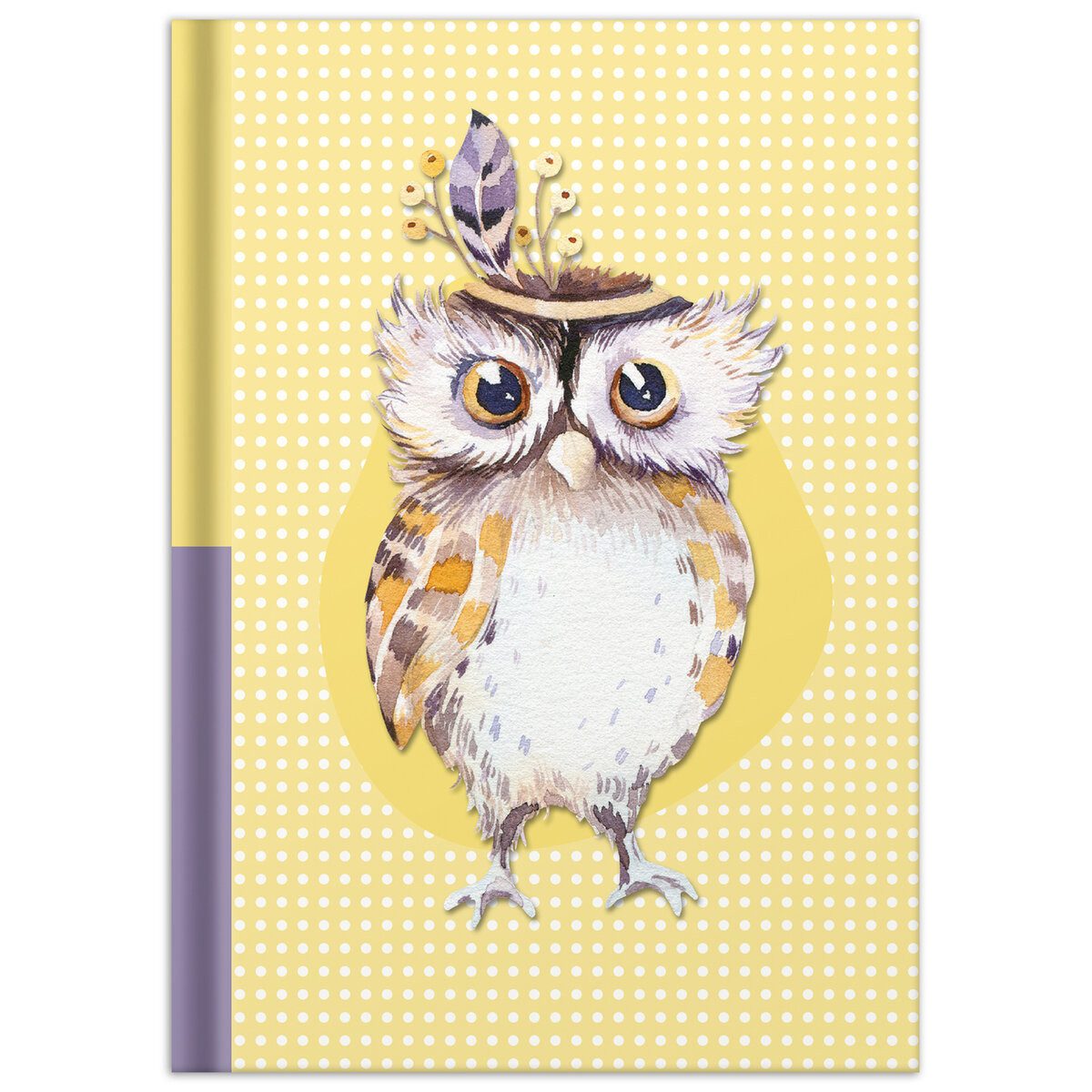 RNK Verlag Schulheft Notizbuch Eule - A5 Hardcover 96 Blatt dotted. Packung mit 4 Stück