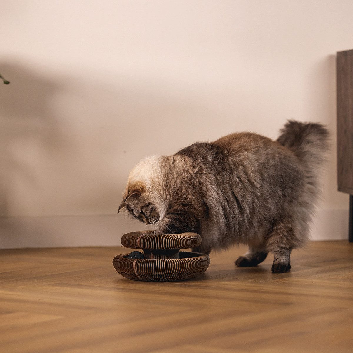 Beeztees Tier-Intelligenzspielzeug Kratzspielzeug Loet aus Karton