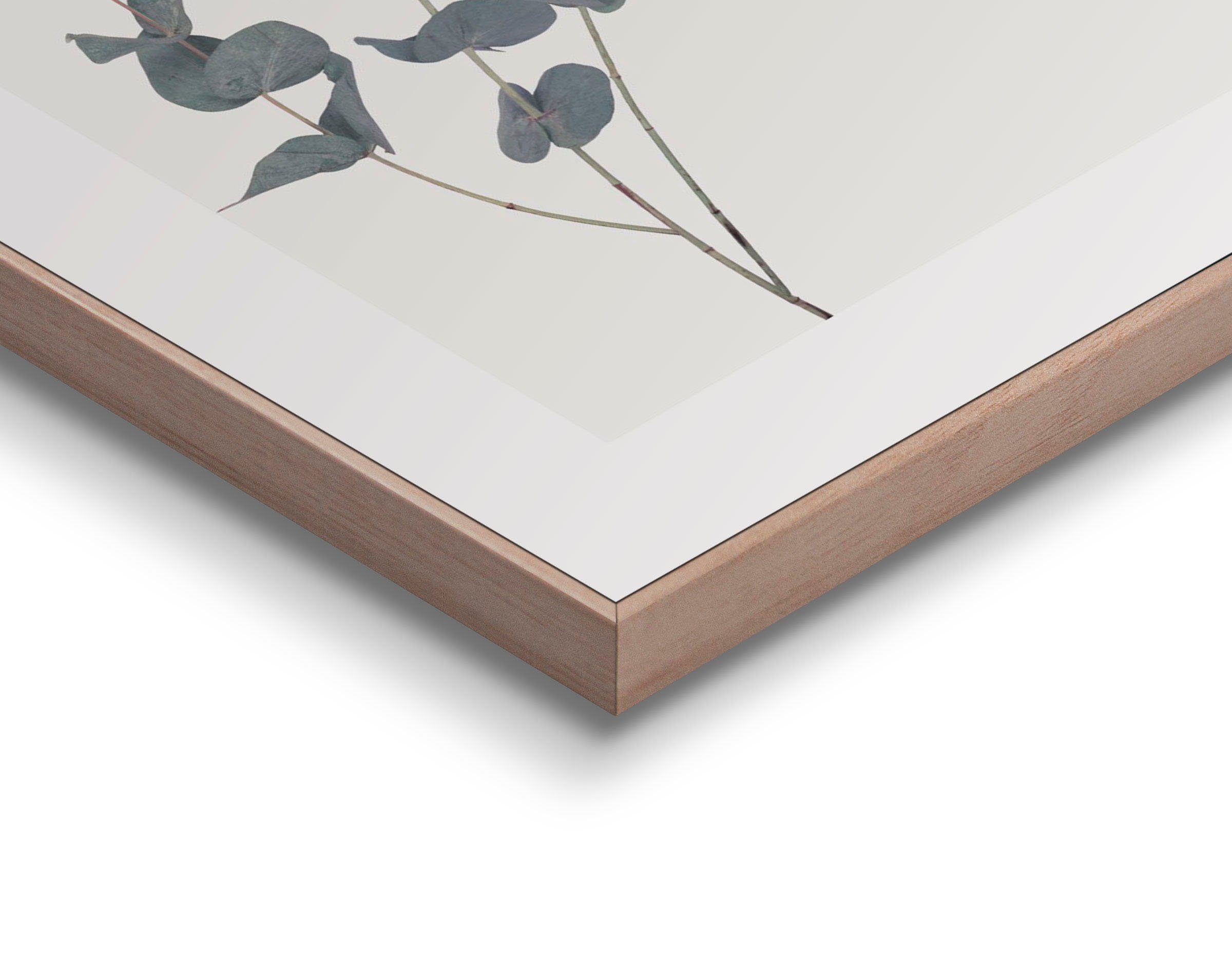 Reinders! Bild mit Rahmen Eucalyptus, (1 St)