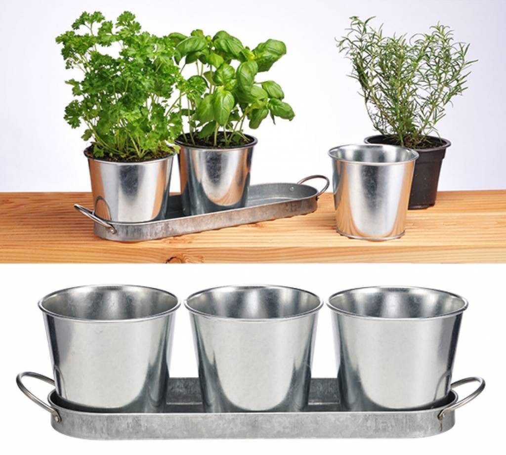 Haushalt International Kräutertopf günstig online kaufen