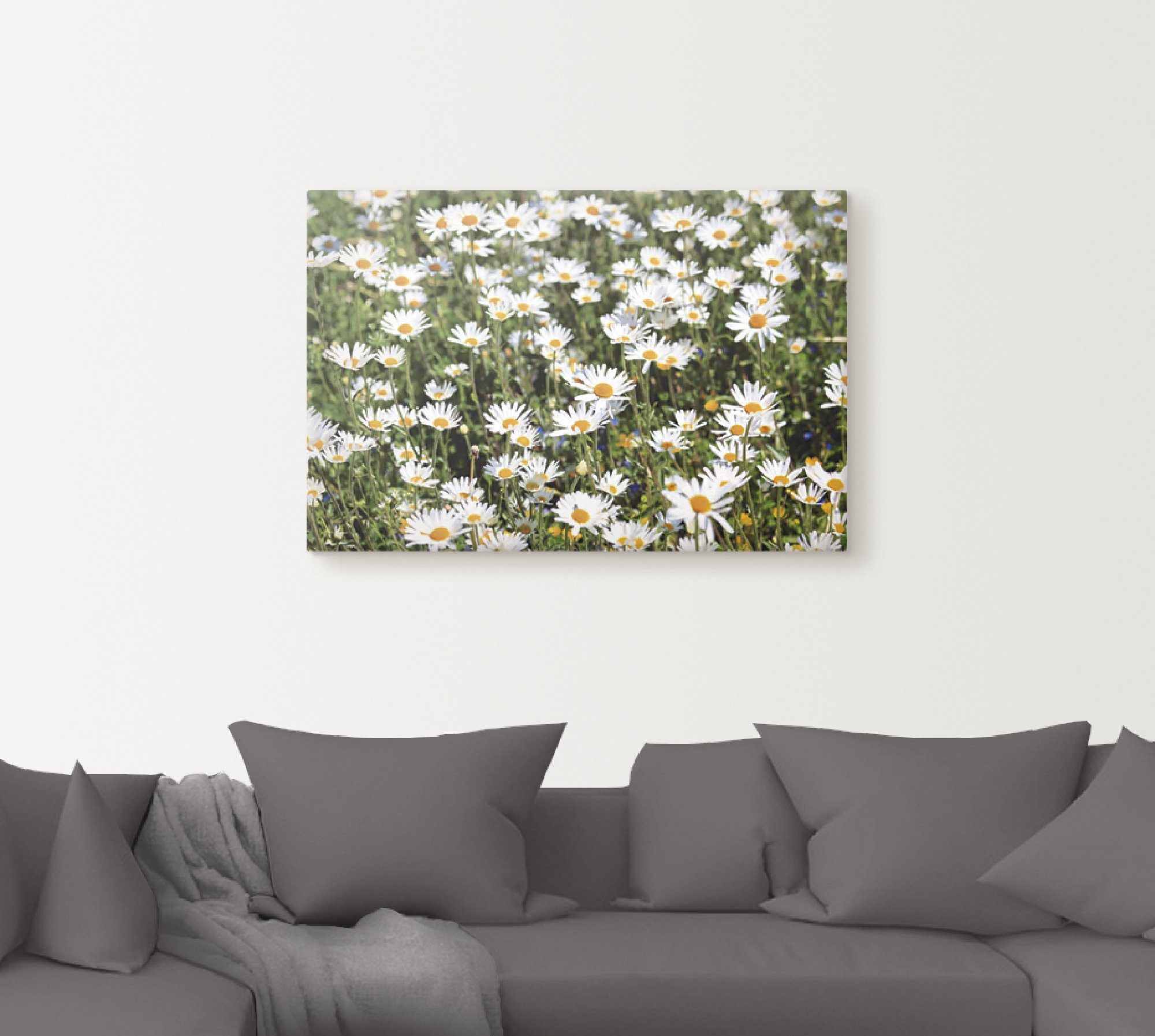 als oder Leinwandbild, in Wandbild Blumen Alubild, St), Poster Gänseblümchen, versch. Wandaufkleber Größen Artland (1