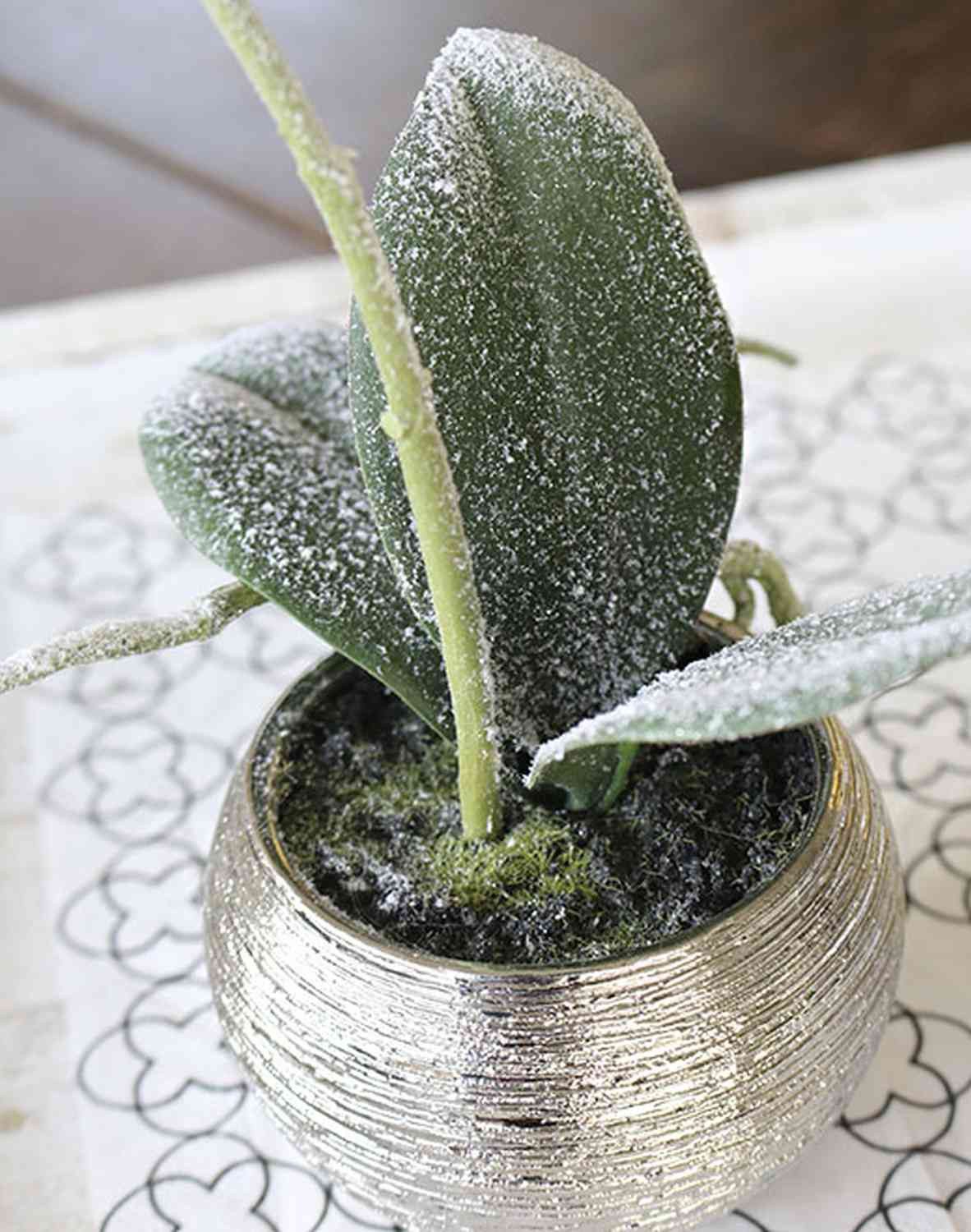 Kunstorchidee Phalaenopsis Orchidee künstlich Karen, Dekotopf, gefroren, weiß, 35cm Orchidee (Orchidee phalaenopsis), artplants, Höhe 35.0 cm