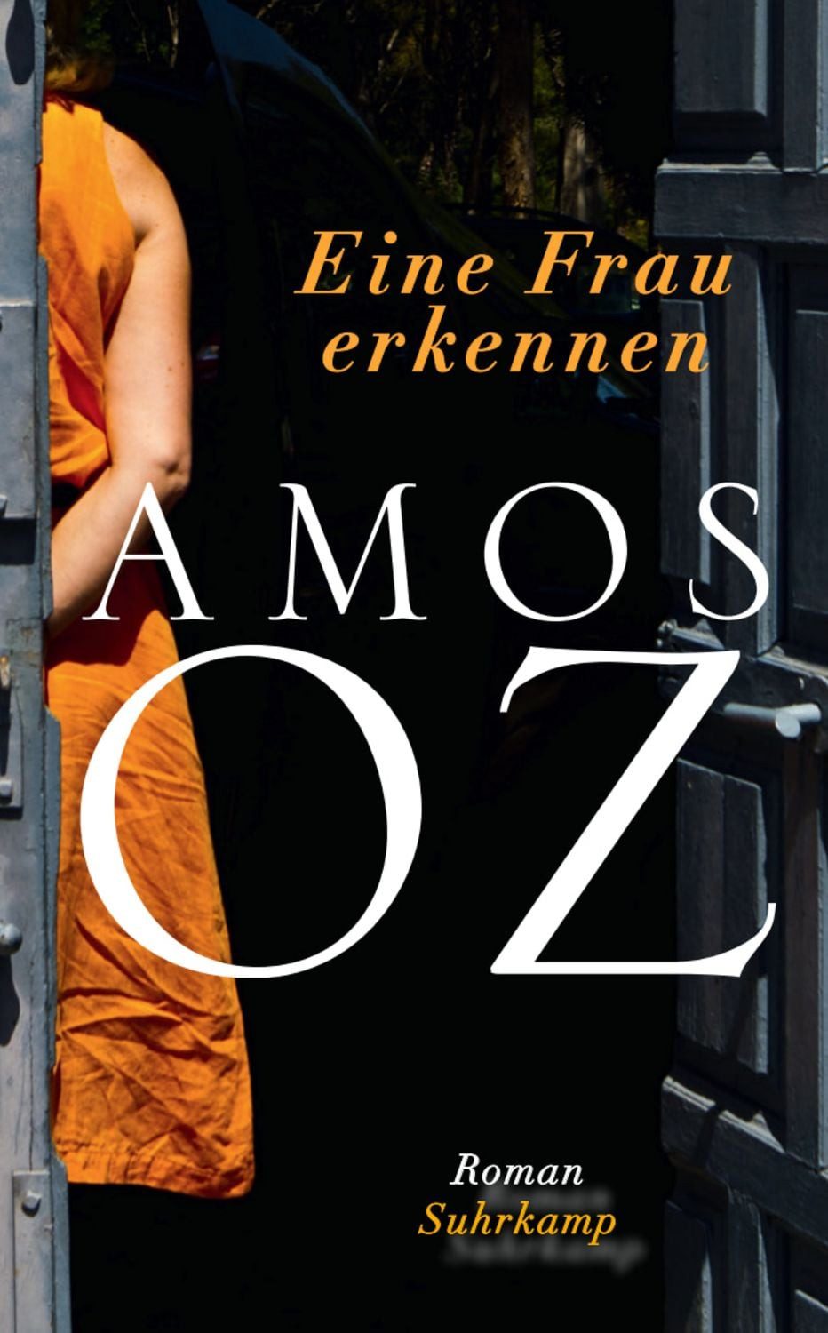 Eine Frau erkennen / Amos Oz