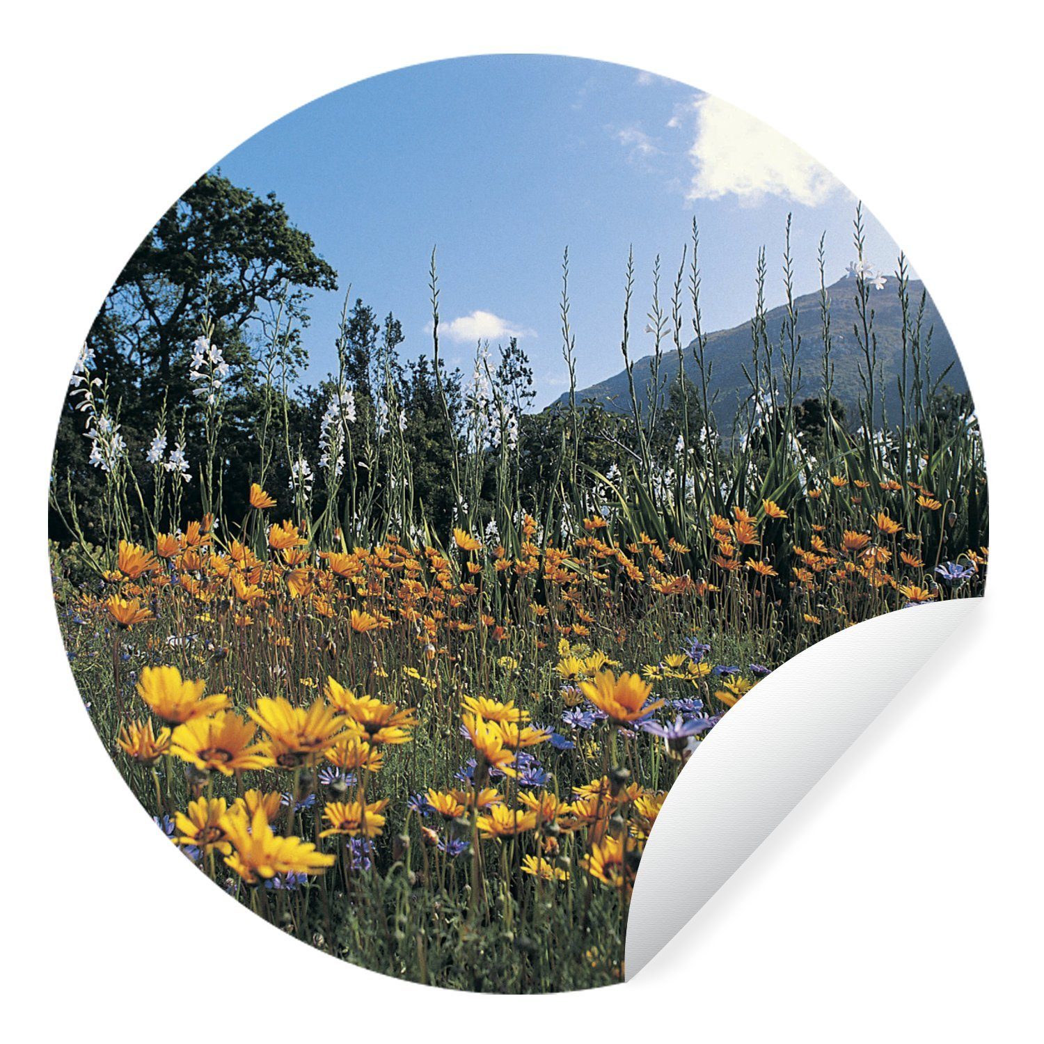 MuchoWow Wandsticker Blumen - Natur - Farbe (1 St), Tapetenkreis für Kinderzimmer, Tapetenaufkleber, Rund, Wohnzimmer