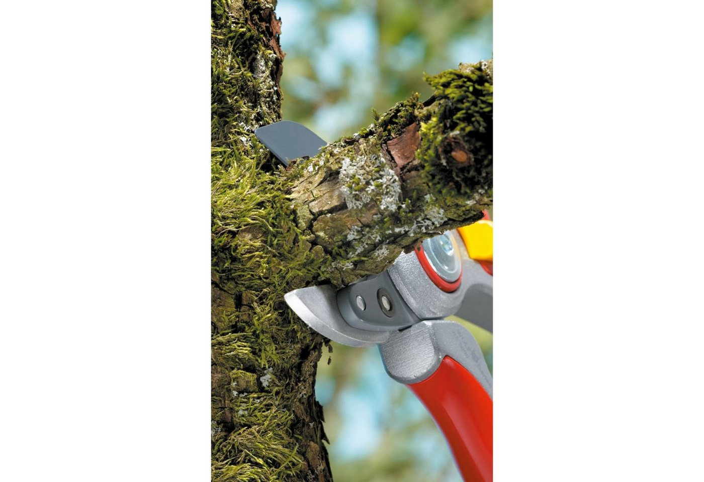 Thumbnail - WOLF-Garten Strauchschere WOLF-Garten Amboss-Gartenschere RS 5000 "Alu