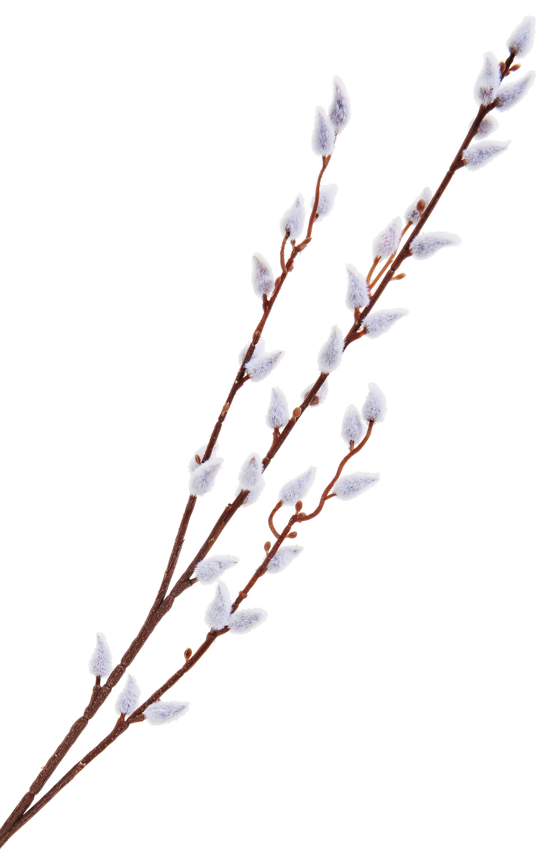 Kunstblume Weidenkätzchen, DPI, 1 Zweig günstig online kaufen