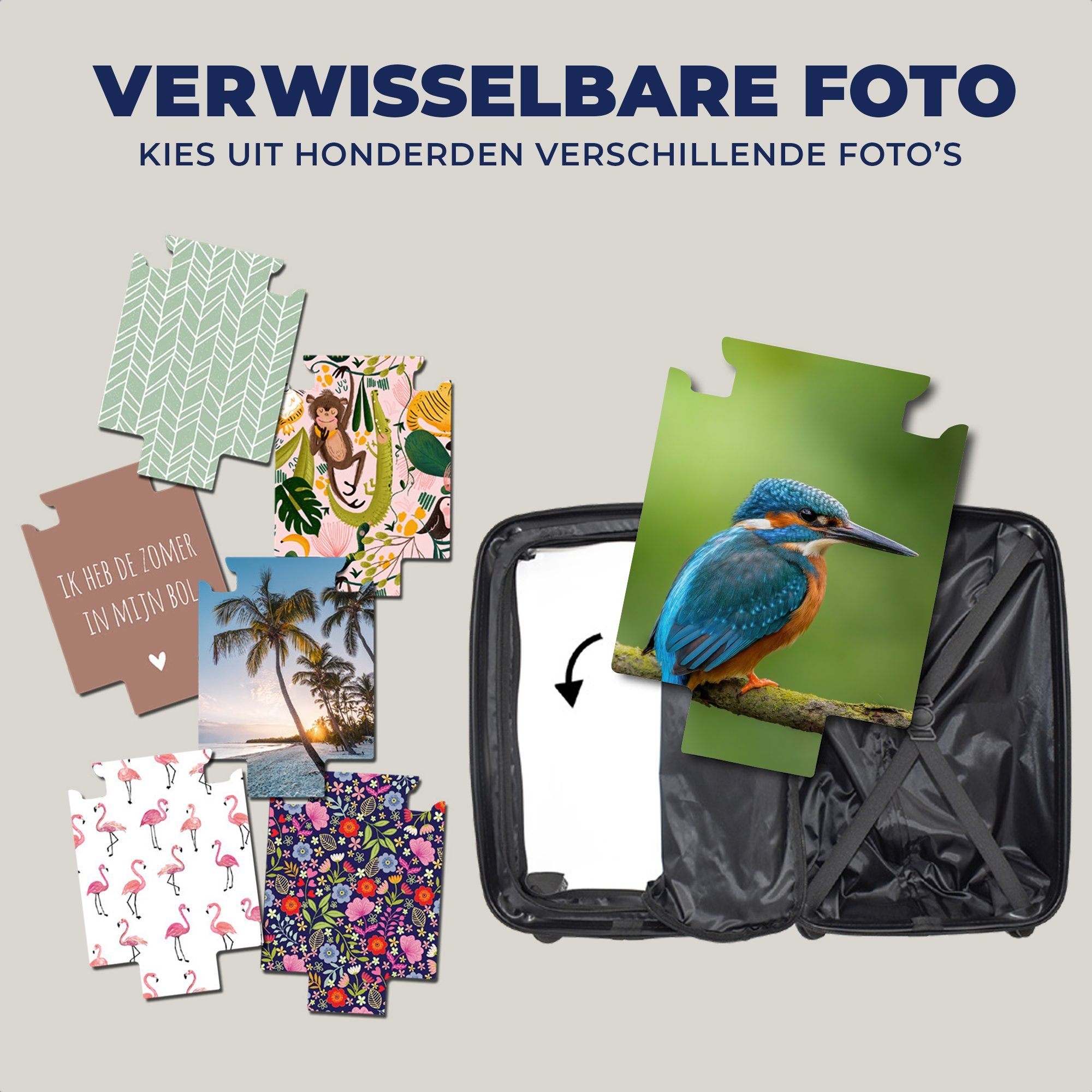 Grün, Handgepäck Rollen, Reisekoffer Reisetasche - - Eisvogel Ferien, rollen, 4 Trolley, Handgepäckkoffer Vogel für mit Moos MuchoWow Zweig - -