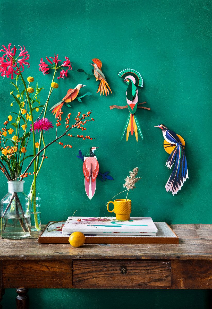 studio ROOF Wanddekoobjekt 3D Paradiesvogel Flores (1 St), Zum Zusammenstecken