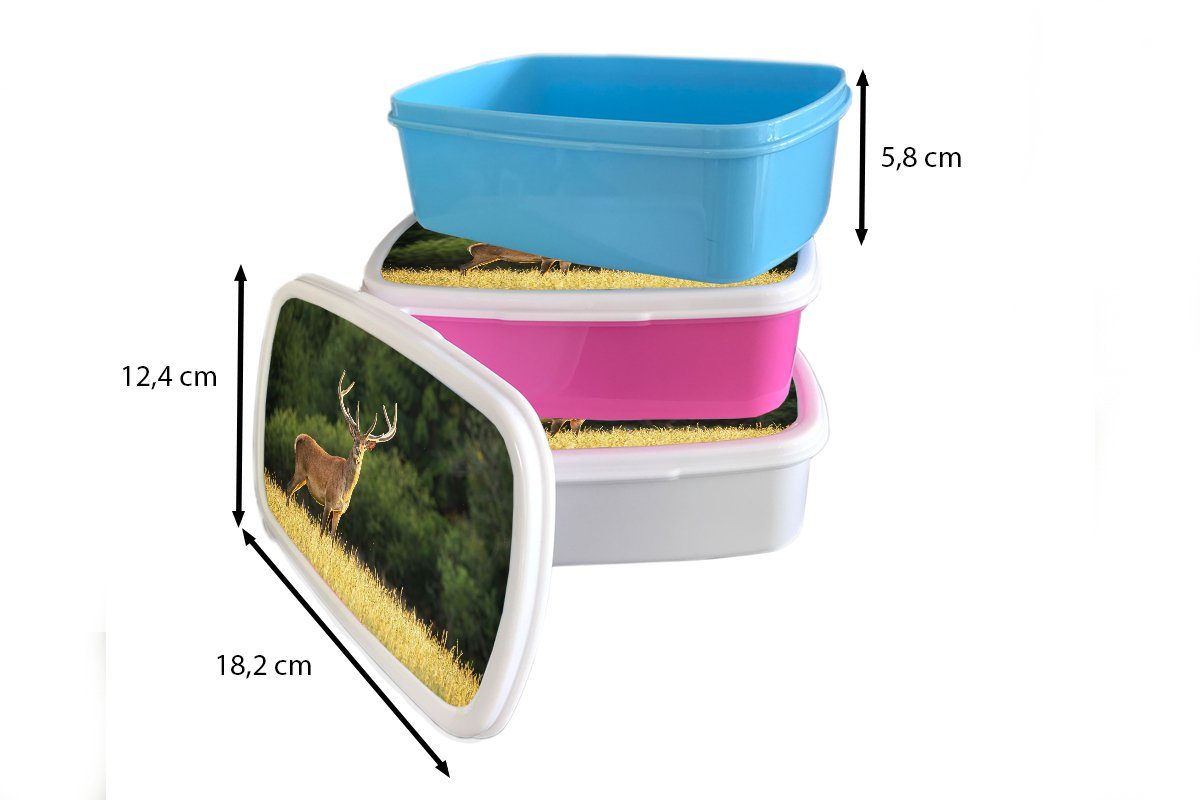 Brotdose Gras - rosa MuchoWow Grün, - (2-tlg), - Erwachsene, Brotbox Kunststoff Tiere Kinder, - für Lunchbox Natur - Kunststoff, Geweih Hirsch Snackbox, Mädchen,