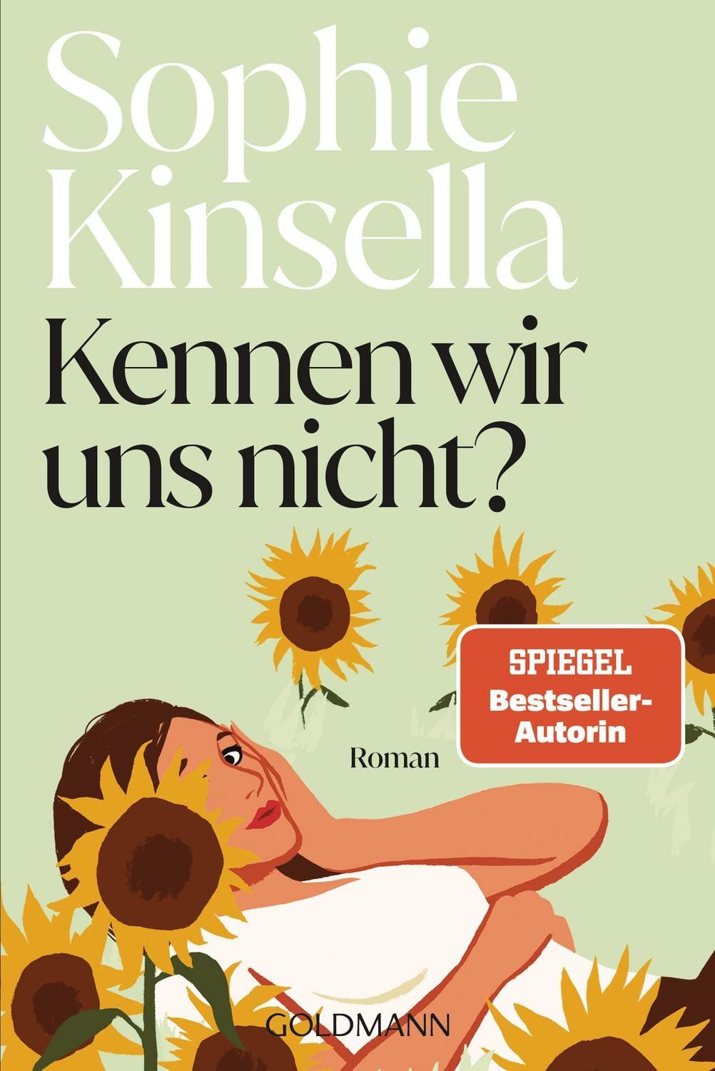 Kennen wir uns nicht? / Sophie Kinsella