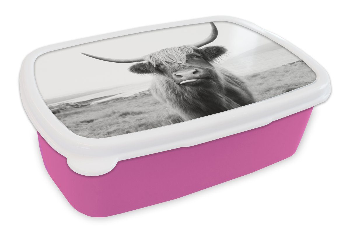 MuchoWow Lunchbox Tiere - Schottischer Highlander - Kuh - Schwarz - Weiß, Kunststoff, (2-tlg), Brotbox für Erwachsene, Brotdose Kinder, Snackbox, Mädchen, Kunststoff rosa