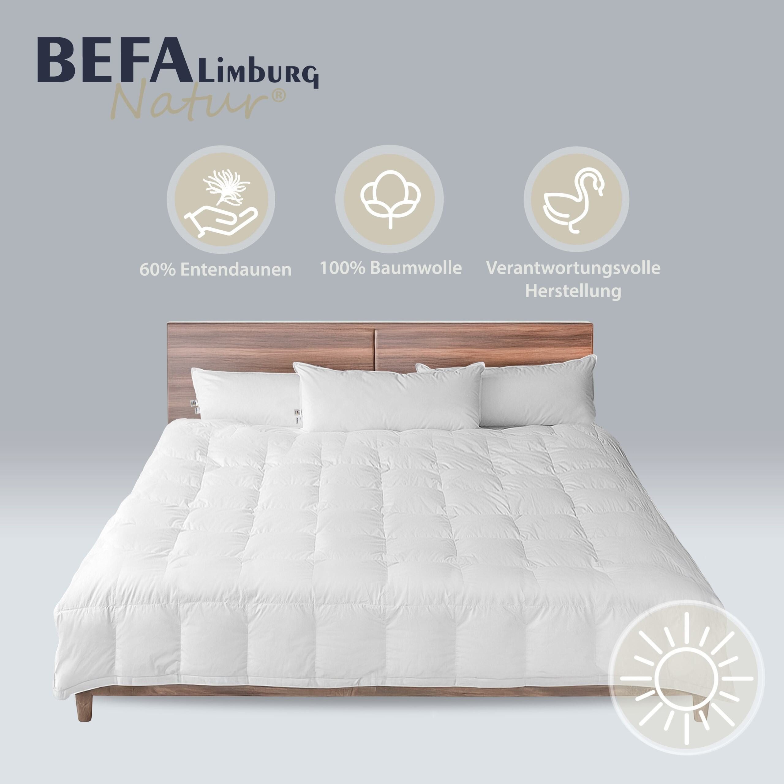 BEFA NATUR Daunenbettdecke Premium Federbettdecke - leicht & kuschelig - Größen 135 cm bis 240 cm, Füllung: 60% Daunen, 40% Federn, Bezug: Baumwolle, Made in Germany - hochwertige Daunendecke - Allergiker geeignet