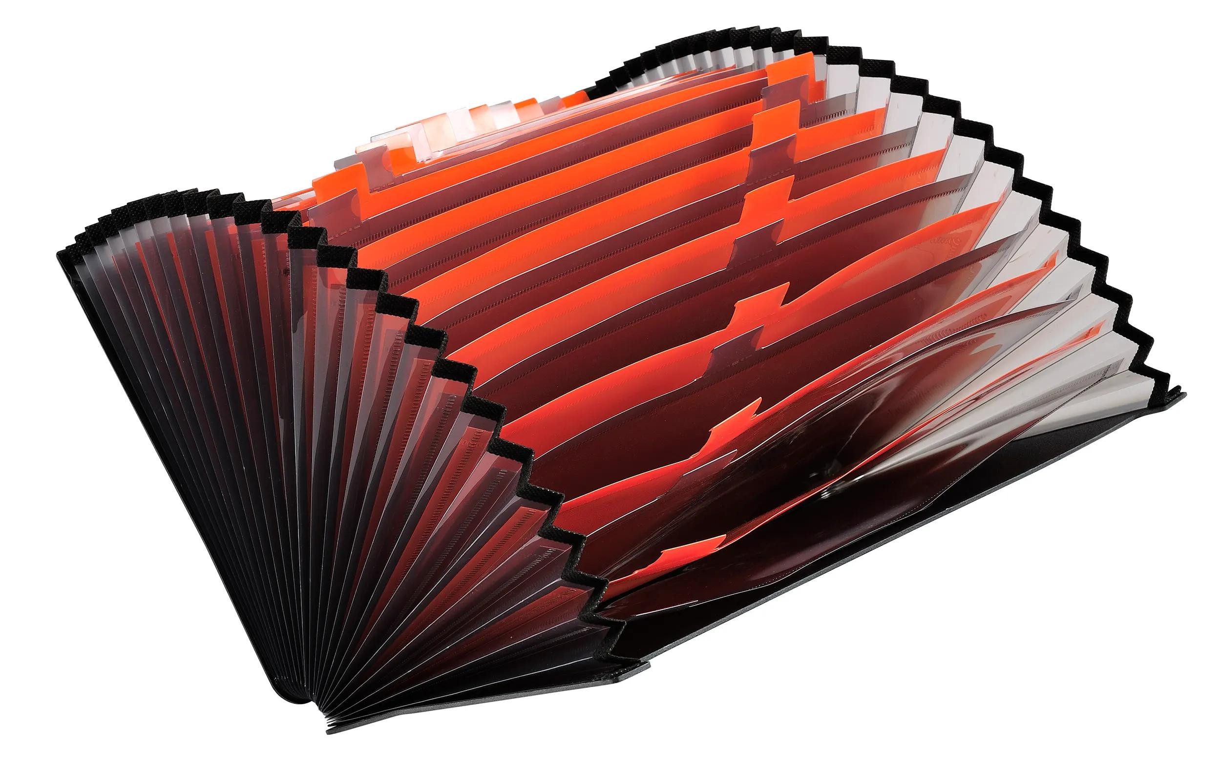 EXACOMPTA Fächermappe 4x Fächermappe dehnbar 24 Fächer Exadesk Exactive A4 Schwarz 58934E, PP Fächermappe