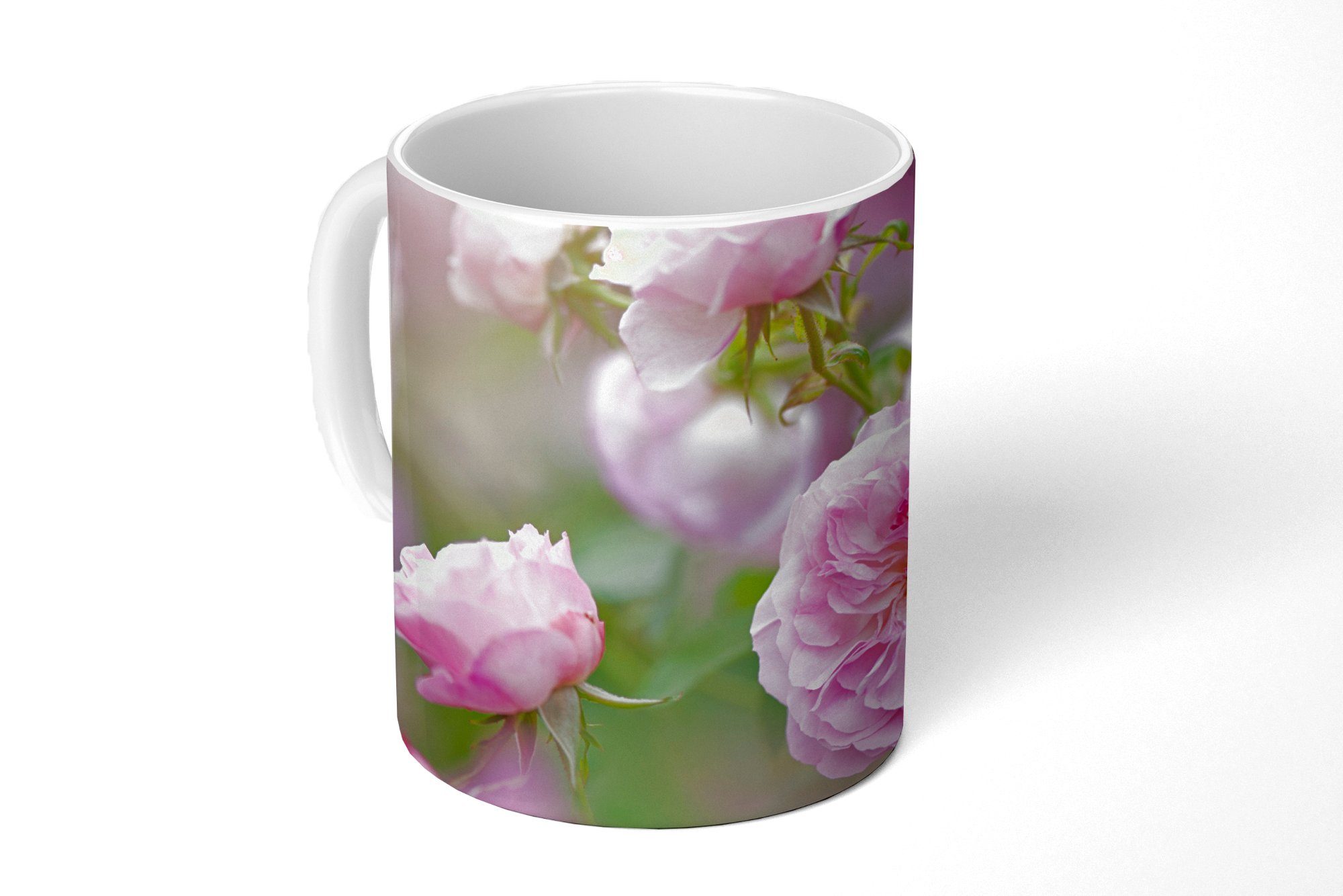 MuchoWow Tasse Pflanzen von rosa Rosen wachsen in der Natur, Keramik, Kaffeetassen, Teetasse, Becher, Teetasse, Geschenk
