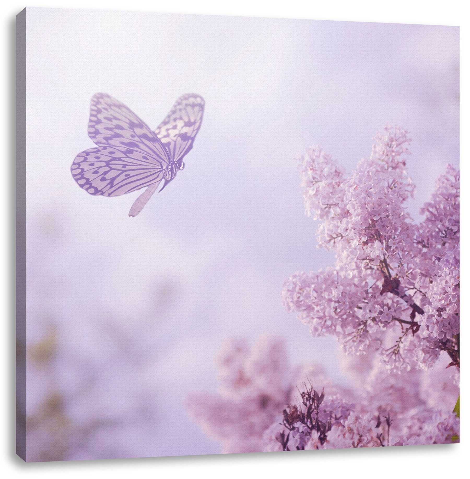 Pixxprint Leinwandbild Schmetterling Kirschblüten, Schmetterling Kirschblüten (1 St), Leinwandbild fertig bespannt, inkl. Zackenaufhänger