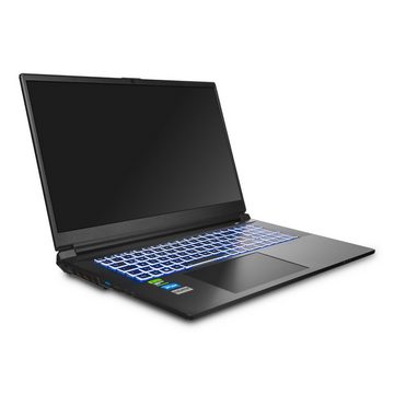 dcl24.de Gaming-Notebook (43,90 cm/17.3 Zoll, Intel Core i5 13500H, 1000 GB SSD, WLAN, Windows 11 Pro)