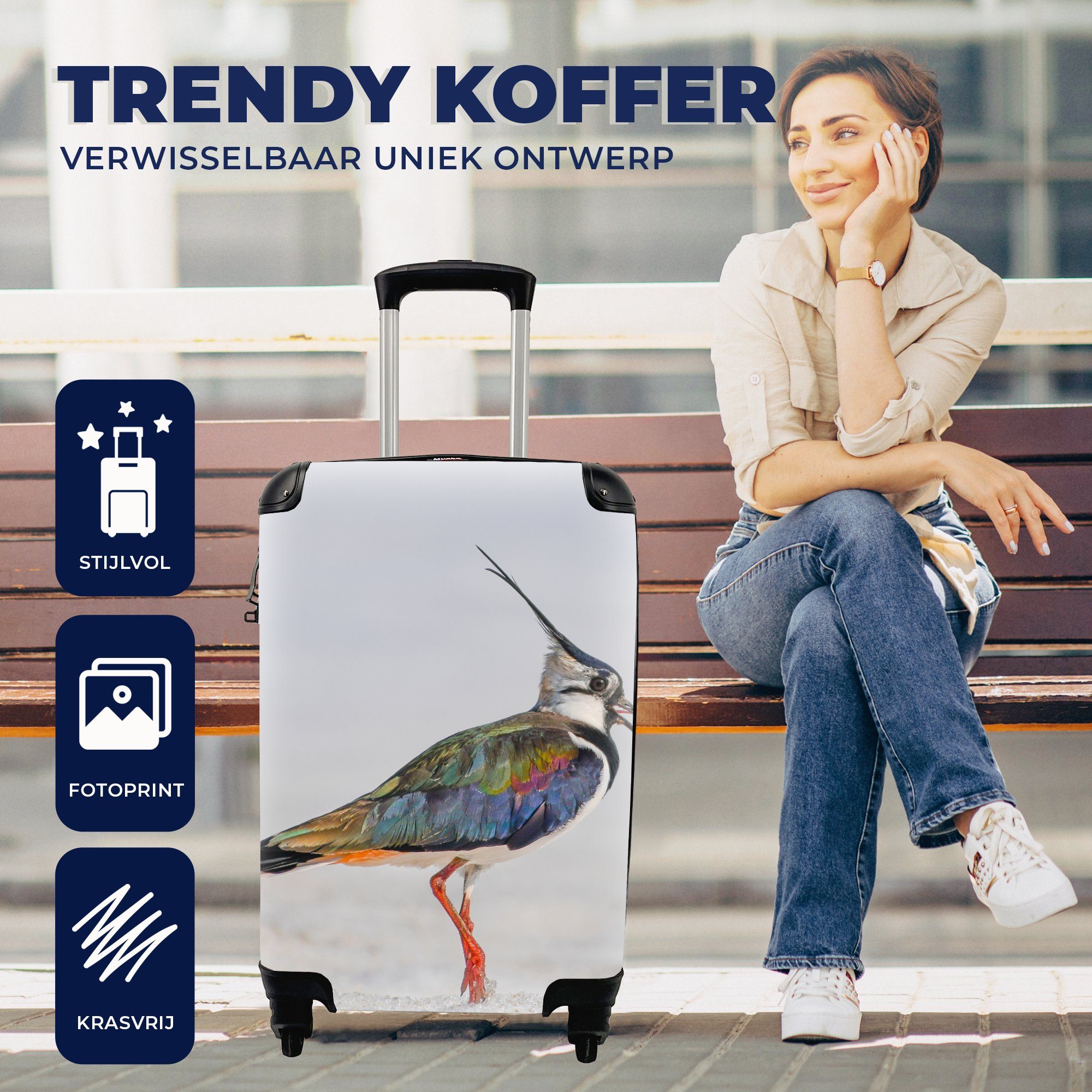 MuchoWow Handgepäckkoffer Vogel mit Reisetasche - 4 Kiebitz, Reisekoffer Rollen, - rollen, Trolley, Tiere - für Sand Handgepäck Ferien