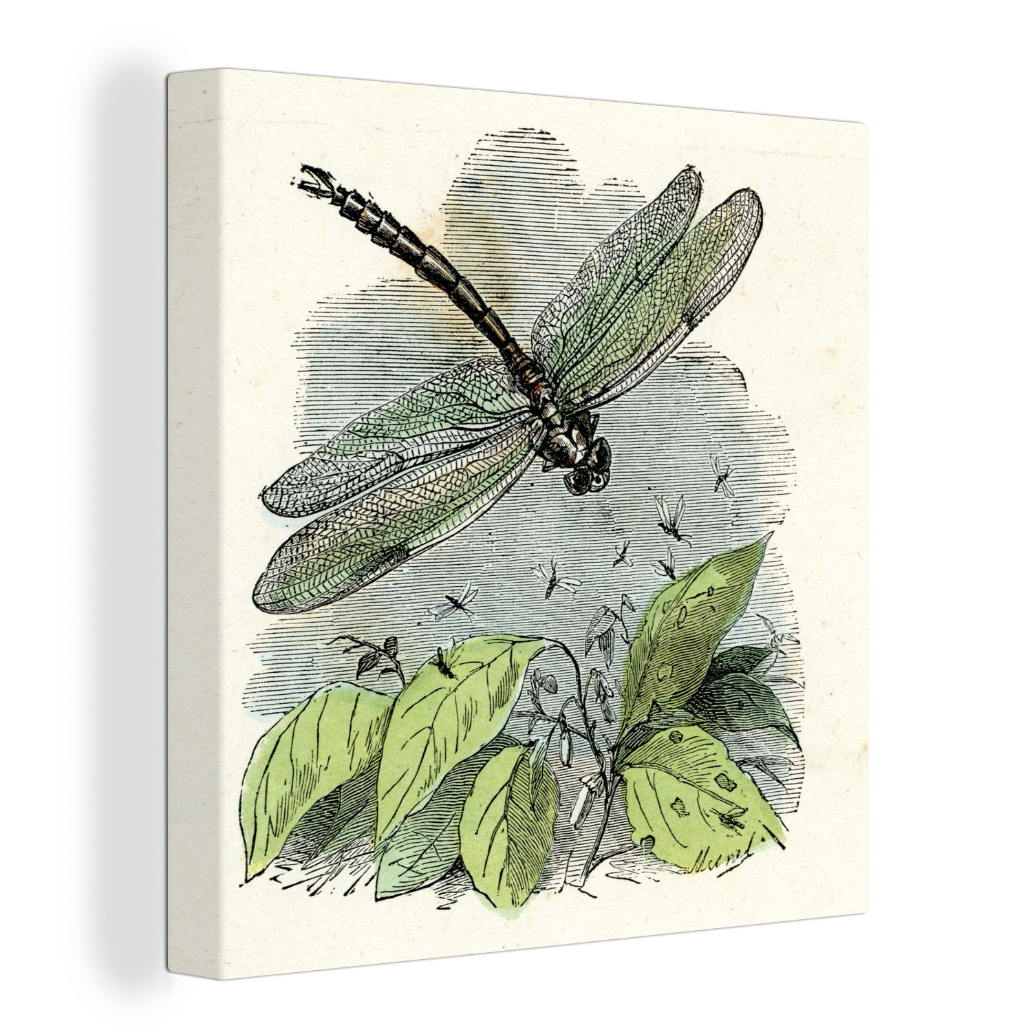 OneMillionCanvasses® Leinwandbild Eine Illustration einer grünen Libelle, (1 St), Leinwand Bilder für Wohnzimmer Schlafzimmer