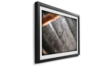 WandbilderXXL Bild mit Rahmen Beauty Of Spider, Spinne, Wandbild, in 4 Größen erhältlich