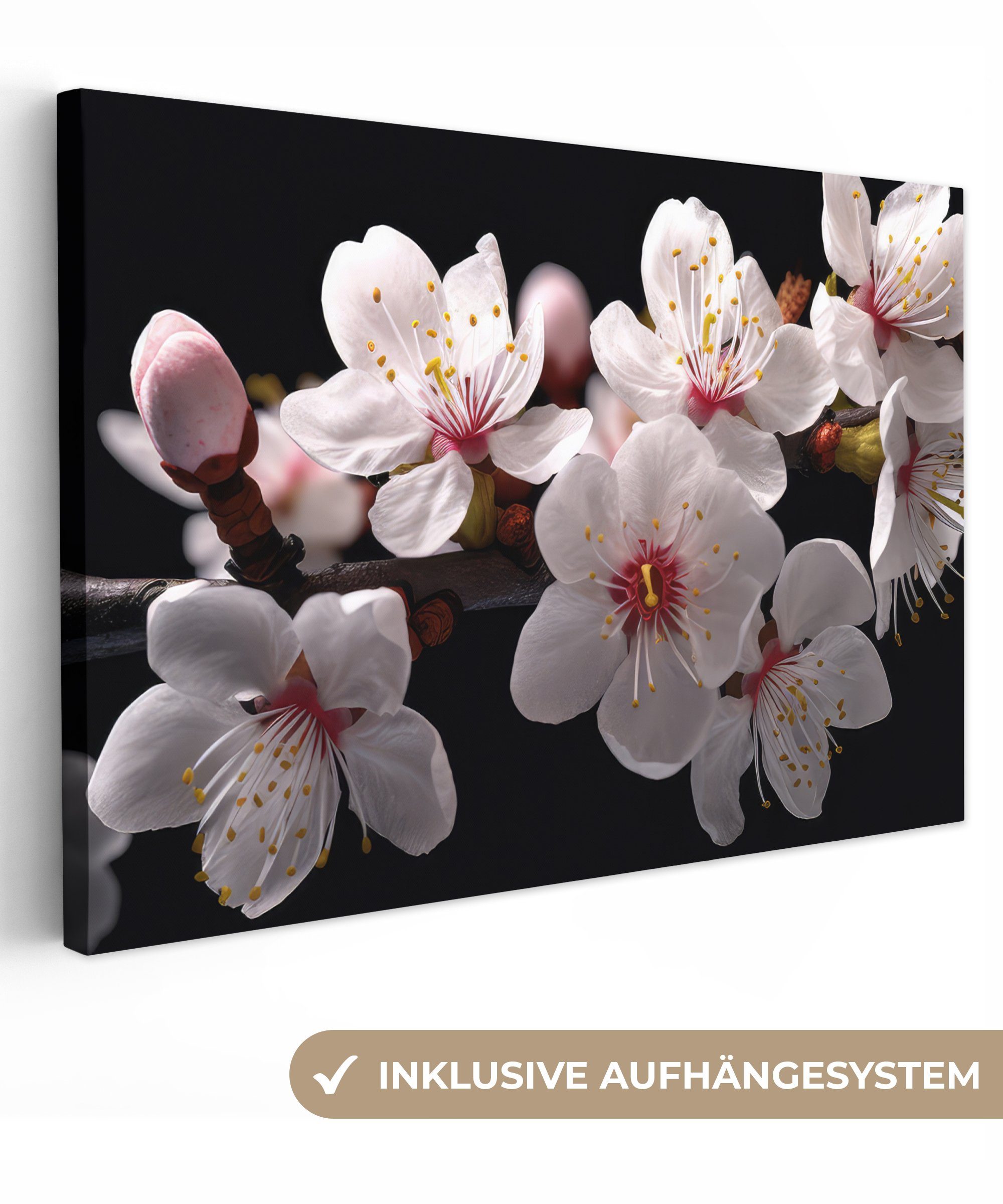 OneMillionCanvasses® Leinwandbild Sakura - Blumen - Blütenzweige - Botanisch - Weiß, (1 St), Wandbild Leinwandbilder, Aufhängefertig, Wanddeko, 30x20 cm