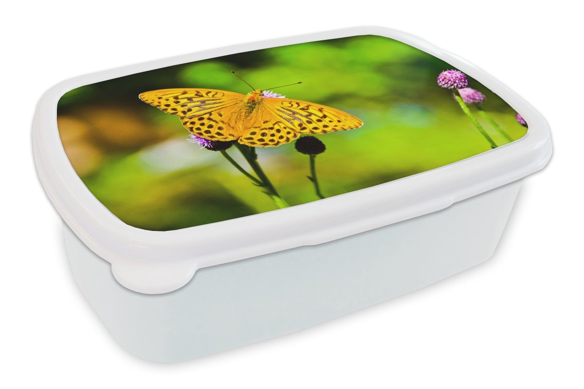 weiß Brotbox für und - Brotdose, und Erwachsene, Mädchen Lunchbox Jungs MuchoWow Kunststoff, Tiger Blume, Schmetterling (2-tlg), - für Kinder
