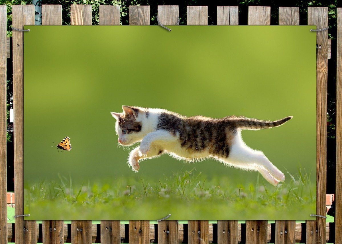 Thumbnail - Wallario Sichtschutzzaunmatten Süße Katze fängt Schmetterling im Grünen