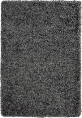 Teppich Willow Langflor, Hochflor Teppich, Wohnzimmer, Schlafzimmer, Modern, Weich, Matt, Einfarbig, Unifarben, Anthrazit 80 x 150 cm, the carpet, Rechteck