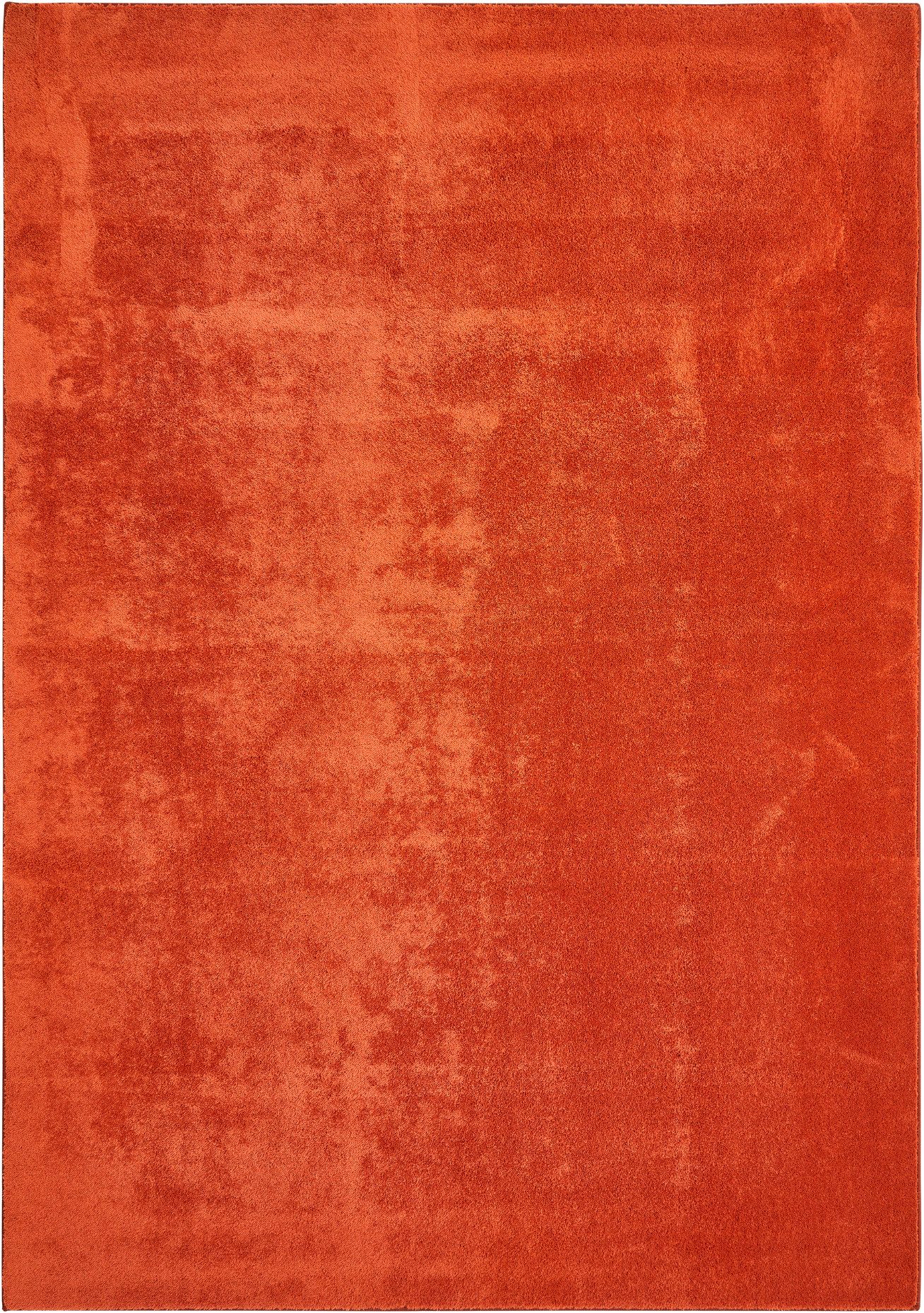 Andiamo Teppich Arezzo, rechteckig, Höhe: 16 günstig online kaufen