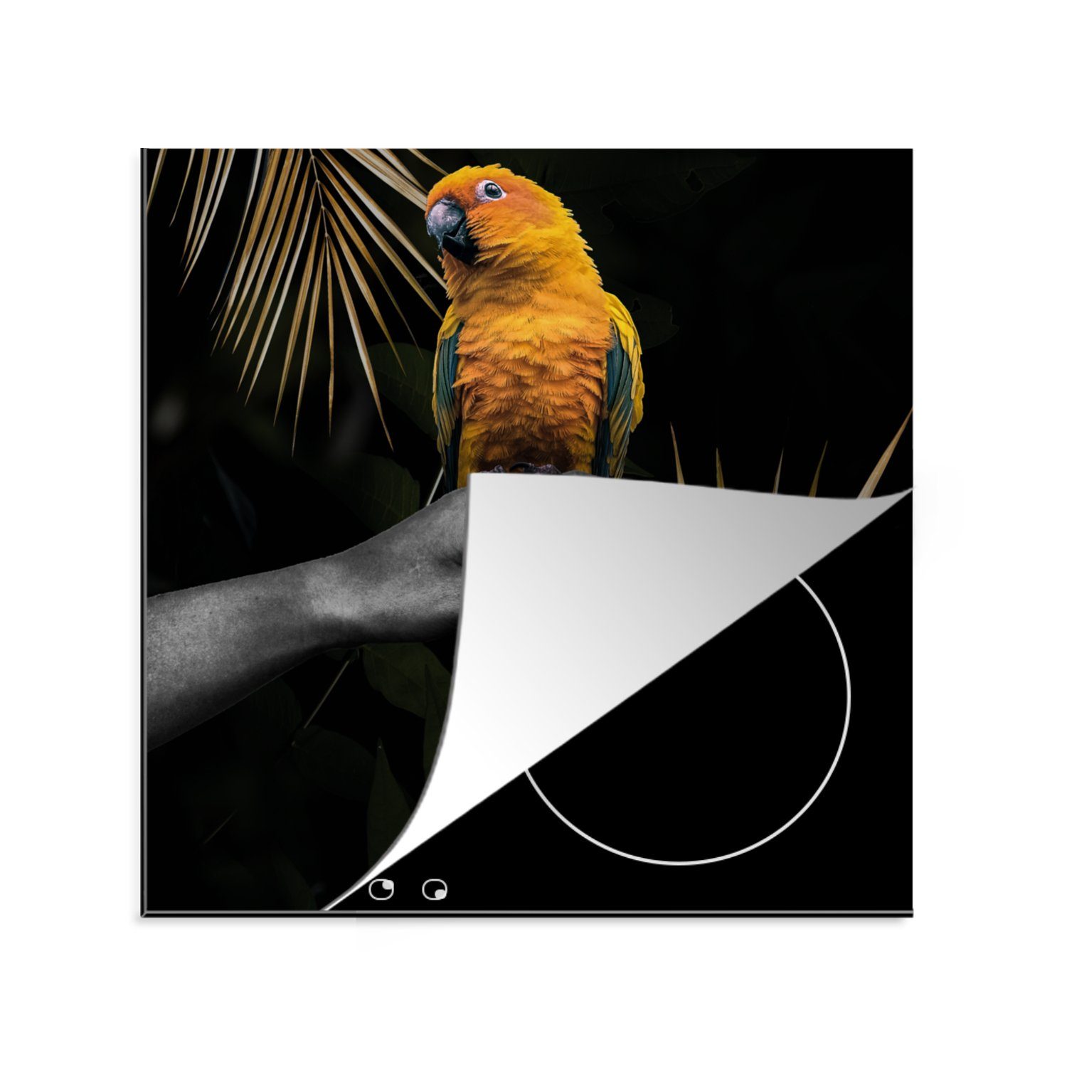 MuchoWow Herdblende-/Abdeckplatte Vogel - Papagei - Hand - Farn, Vinyl, (1 tlg), 78x78 cm, Ceranfeldabdeckung, Arbeitsplatte für küche