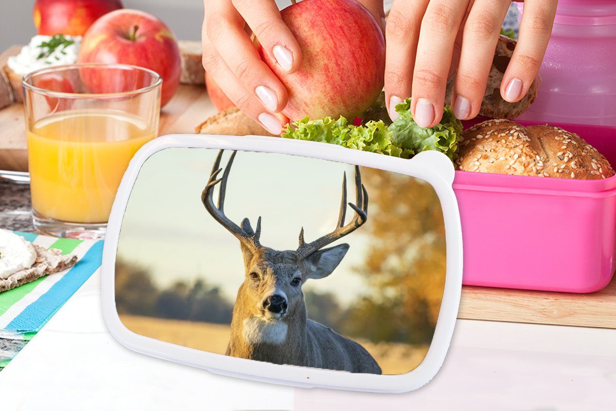 Hirsche - - Herbst Natur für - Lunchbox Kunststoff - Kinder, rosa Snackbox, Erwachsene, Gras Geweih (2-tlg), Tiere, Brotbox - Mädchen, Kunststoff, MuchoWow Brotdose