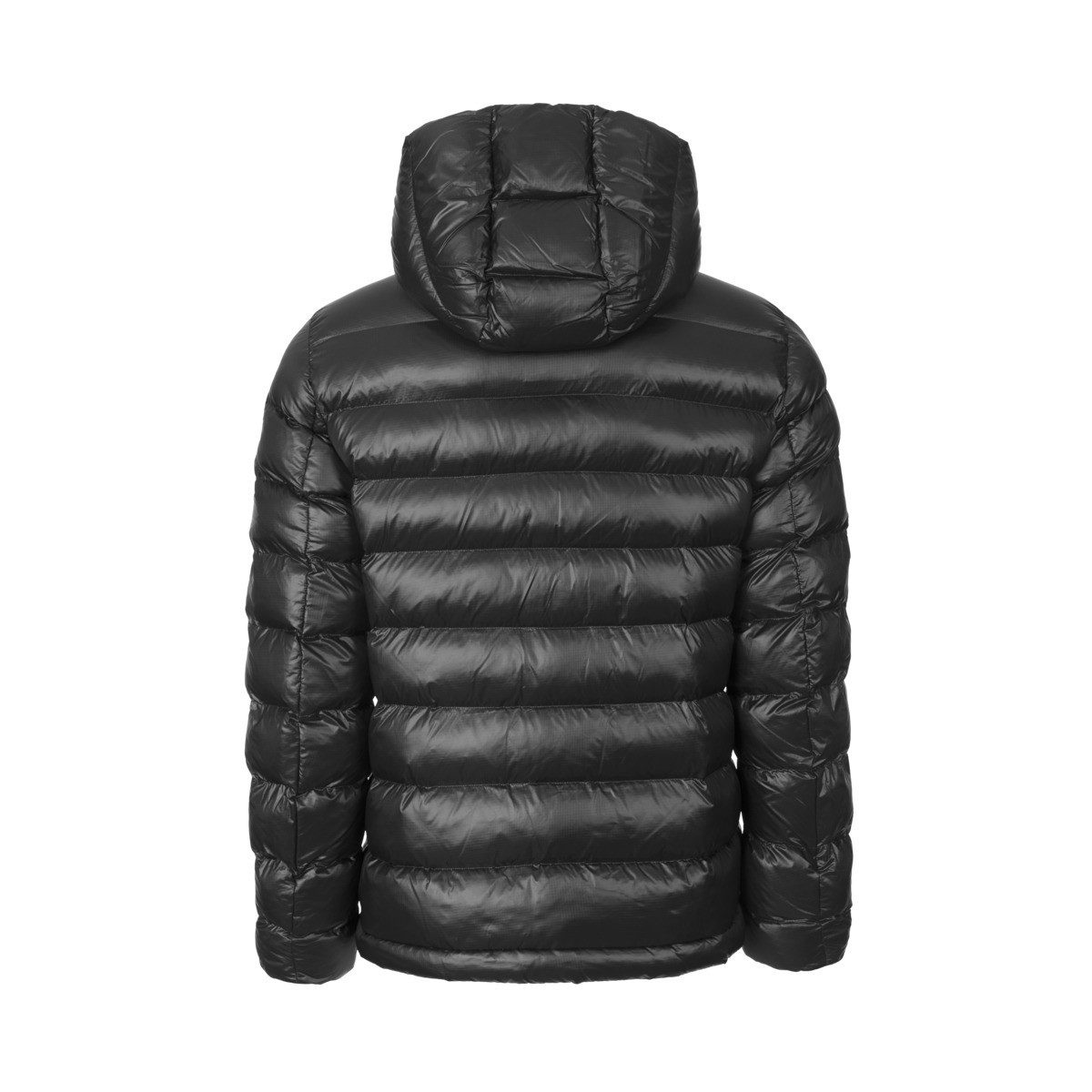 Blauer Steppjacke Adams Herren Winterjacke, Übergangsjacke, günstig online kaufen