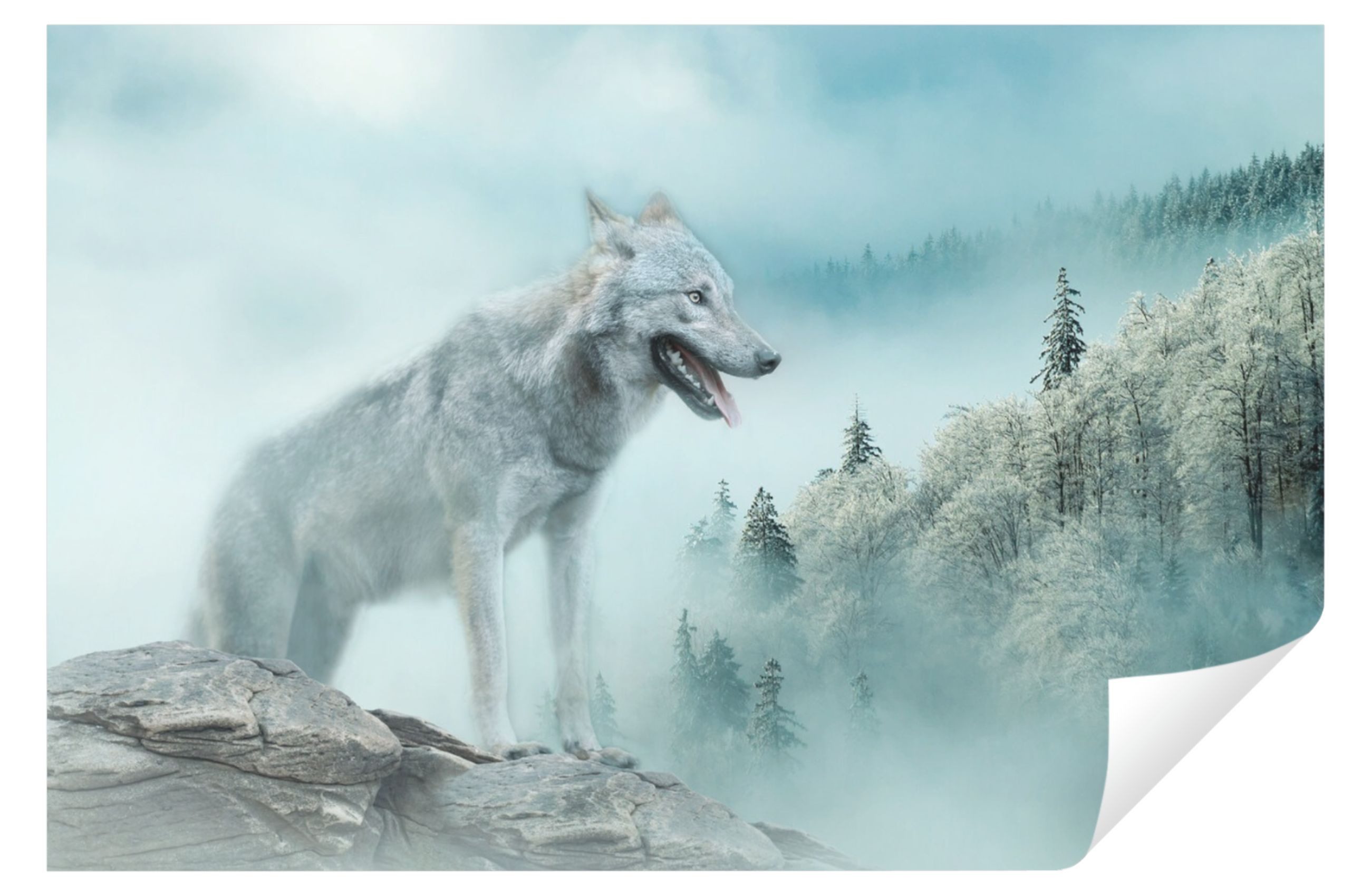 Wallarena Fototapete Wald Wolf Nebel Vlies Tapete Wohnzimmer Schlafzimmer Wandtapete, Glatt Vlies Struktur Vinyl, Nature, Tapete inklusive Kleister Vliestapete Motivtapete