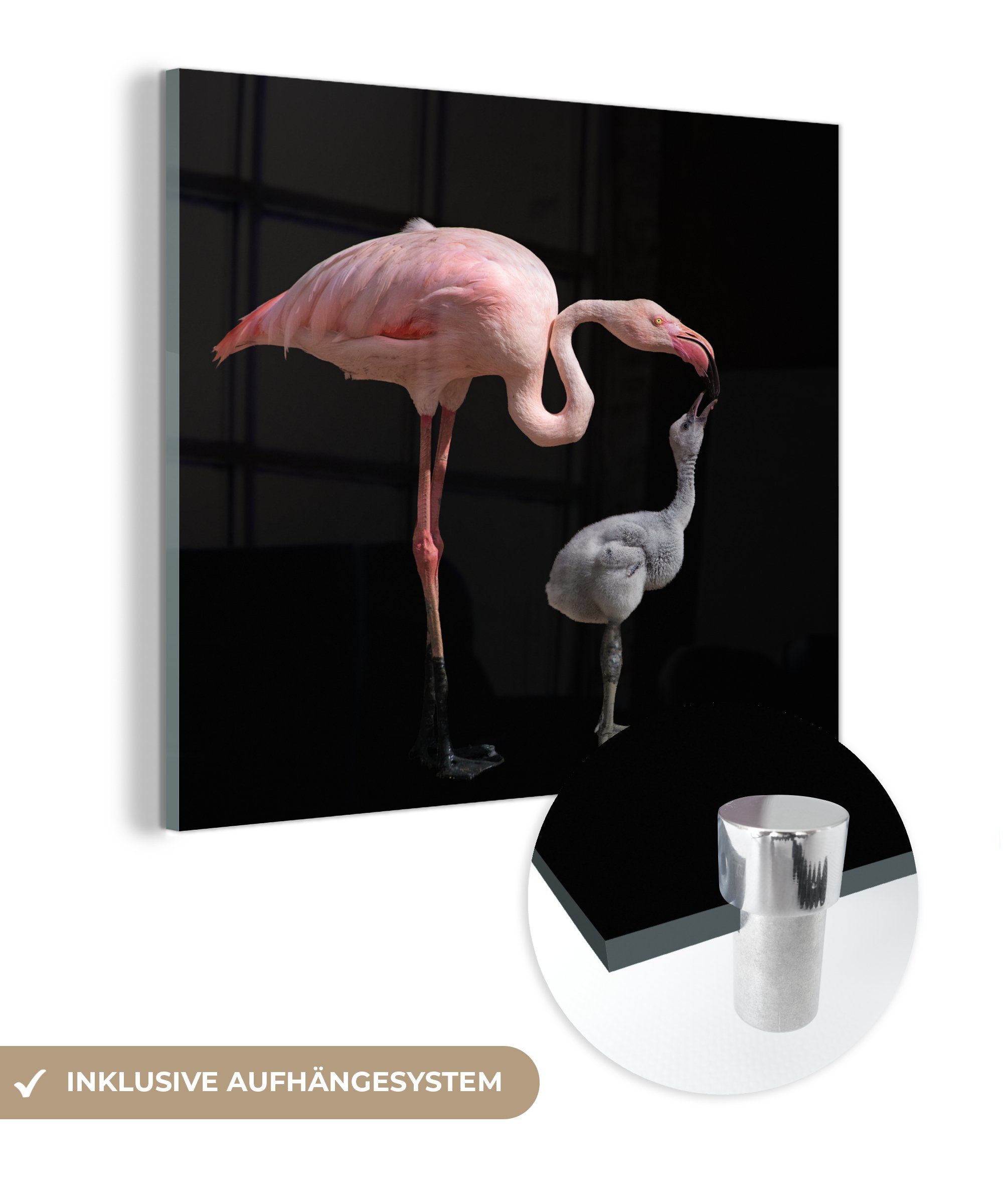MuchoWow Acrylglasbild Flamingo-Mutter mit Kind, (1 St), Glasbilder - Bilder auf Glas Wandbild - Foto auf Glas - Wanddekoration