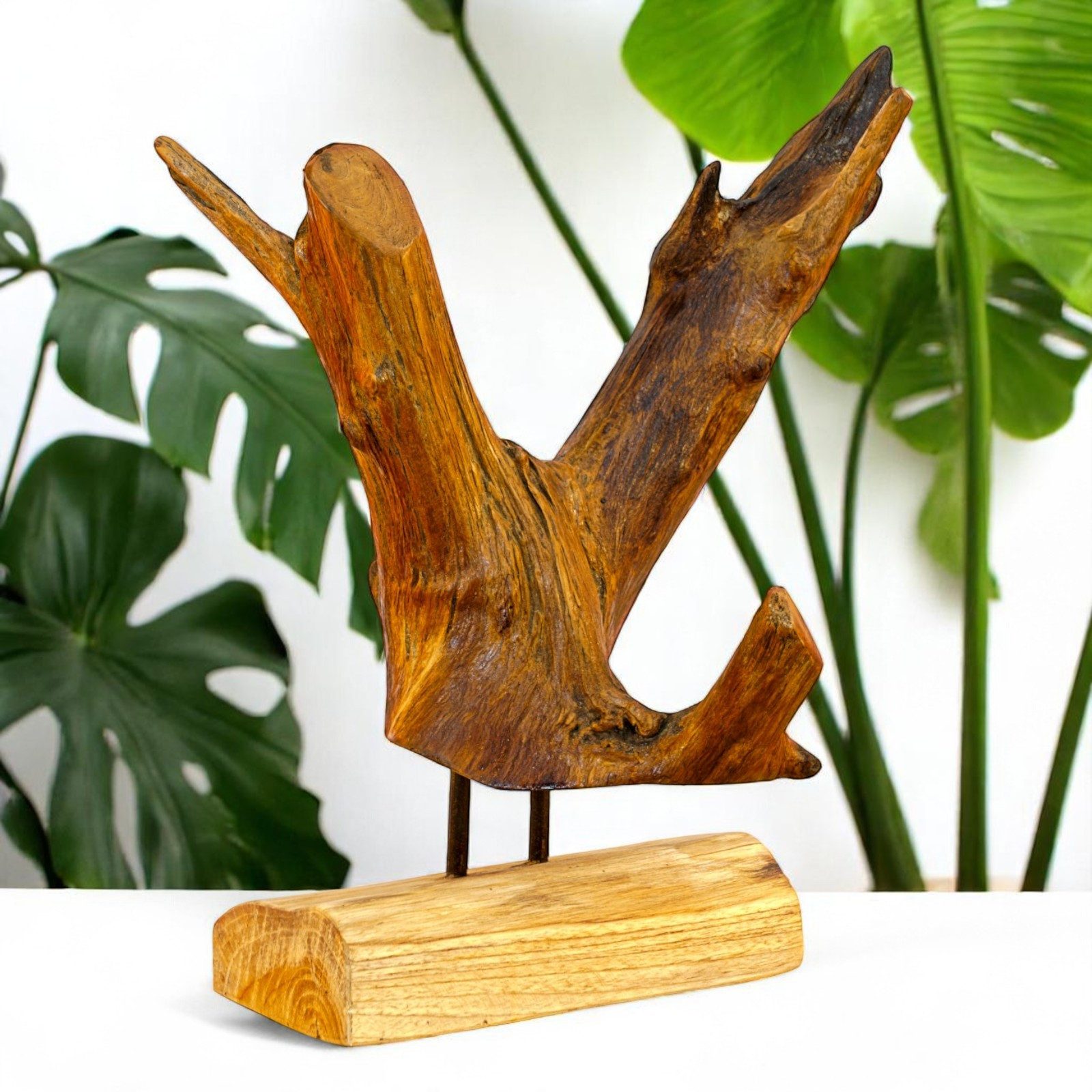 Skulptur Teak Wurzelholz Skulptur 30 - 90cm