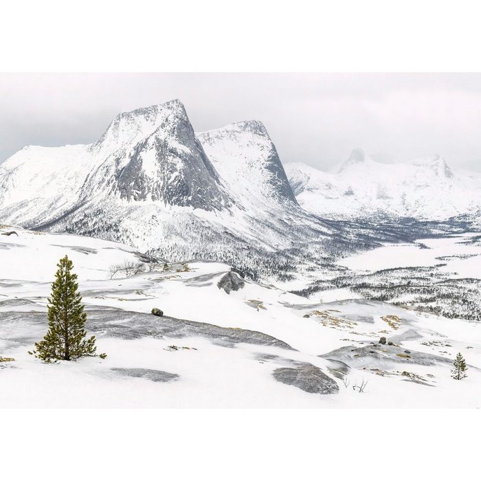 Komar Fototapete White Enchanted Mountains glatt Comic Retro bedruckt mehrfarbig BxH: 400x280 cm