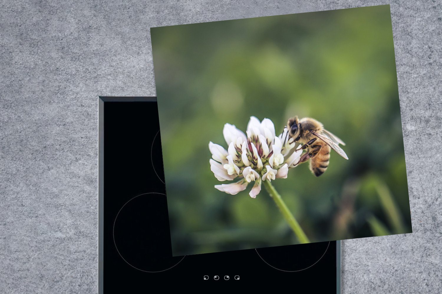 - Biene tlg), - 78x78 küche Insekt MuchoWow Herdblende-/Abdeckplatte für Blume, Ceranfeldabdeckung, Arbeitsplatte cm, Vinyl, (1