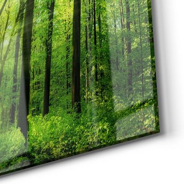 DEQORI Glasbild 'Sonne durchbricht Wald', 'Sonne durchbricht Wald', Glas Wandbild Bild schwebend modern