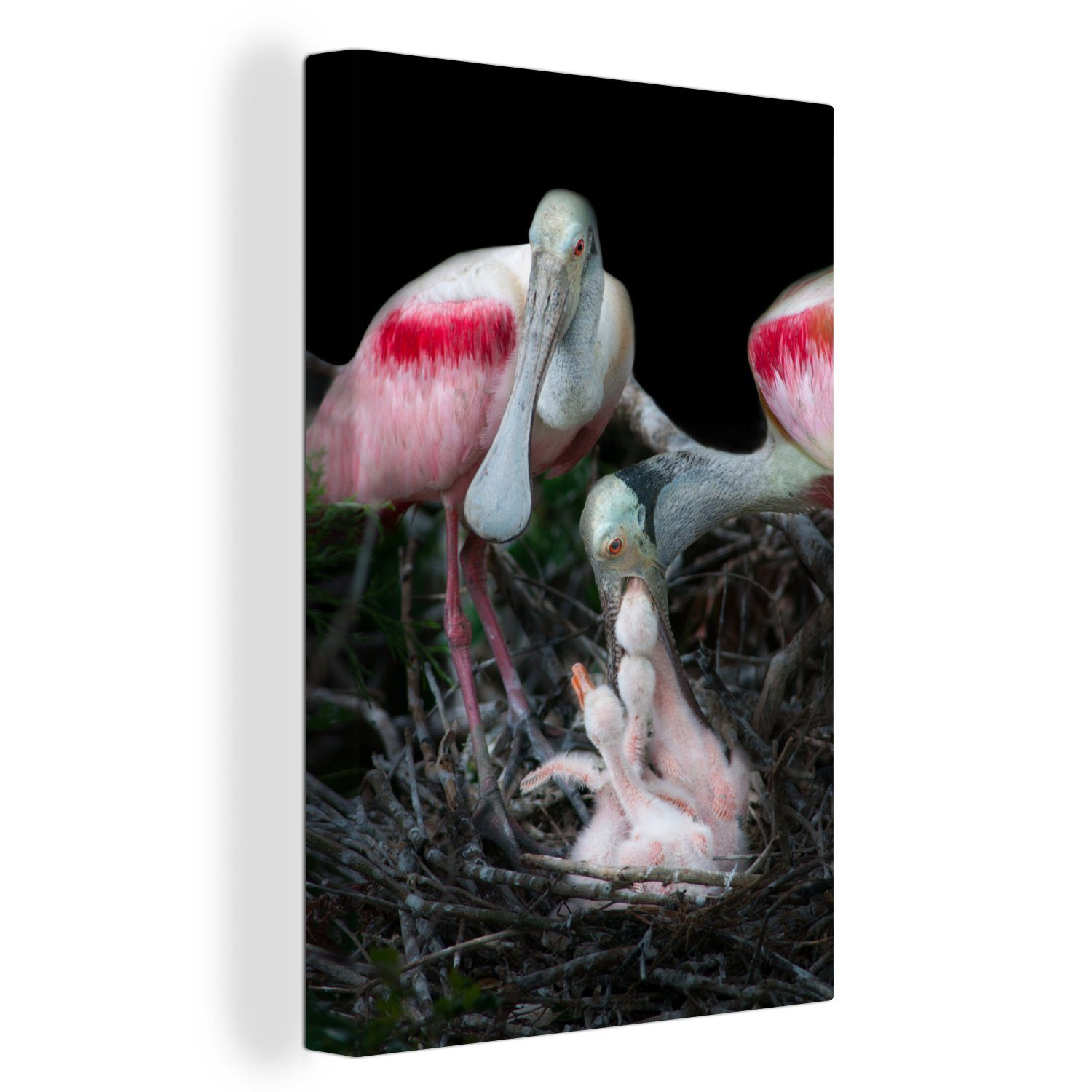 OneMillionCanvasses® Leinwandbild Vögel - Nest - Küken, (1 St), Leinwandbild fertig bespannt inkl. Zackenaufhänger, Gemälde, 20x30 cm